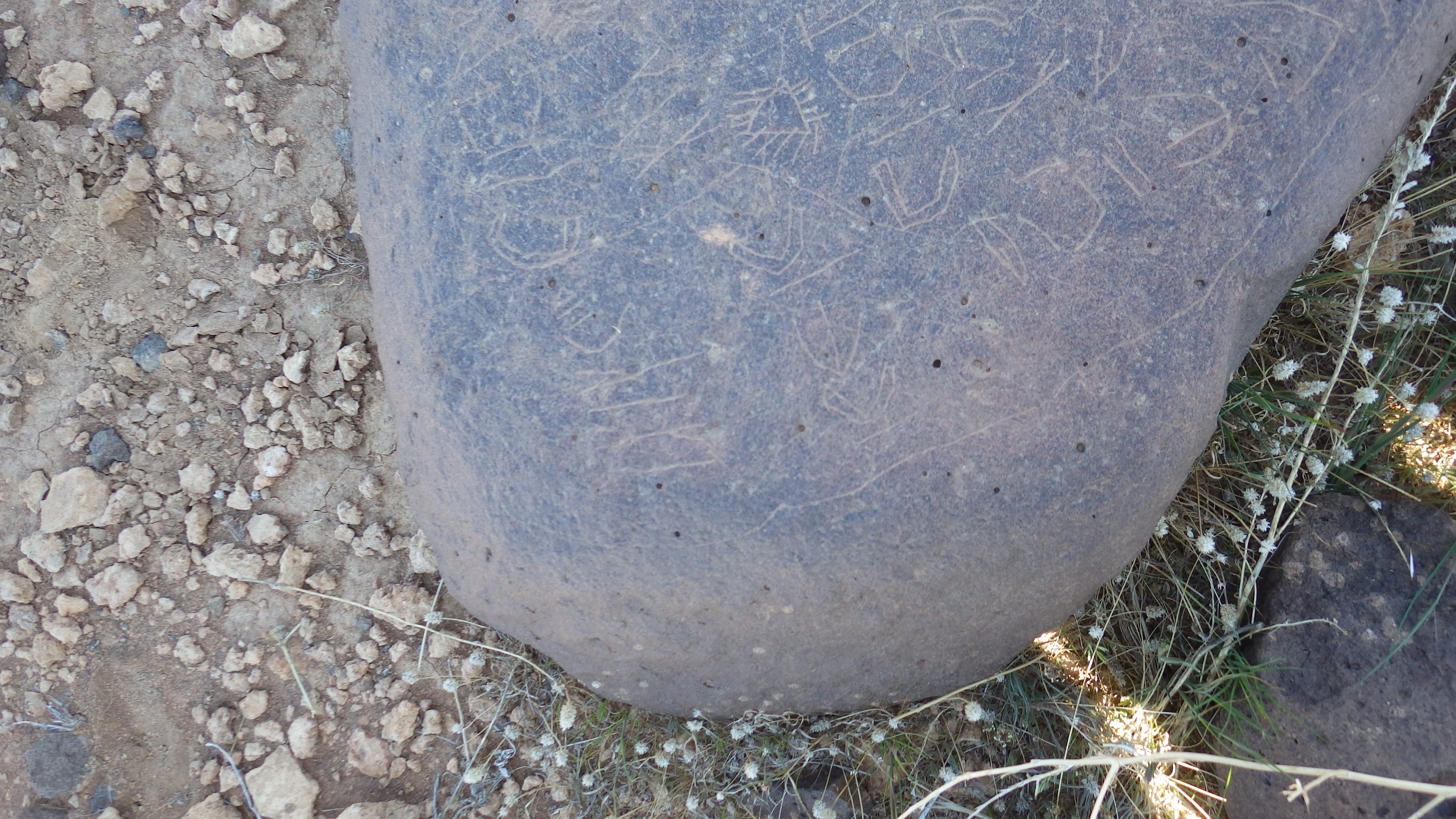 Image of siglum BES20 1473