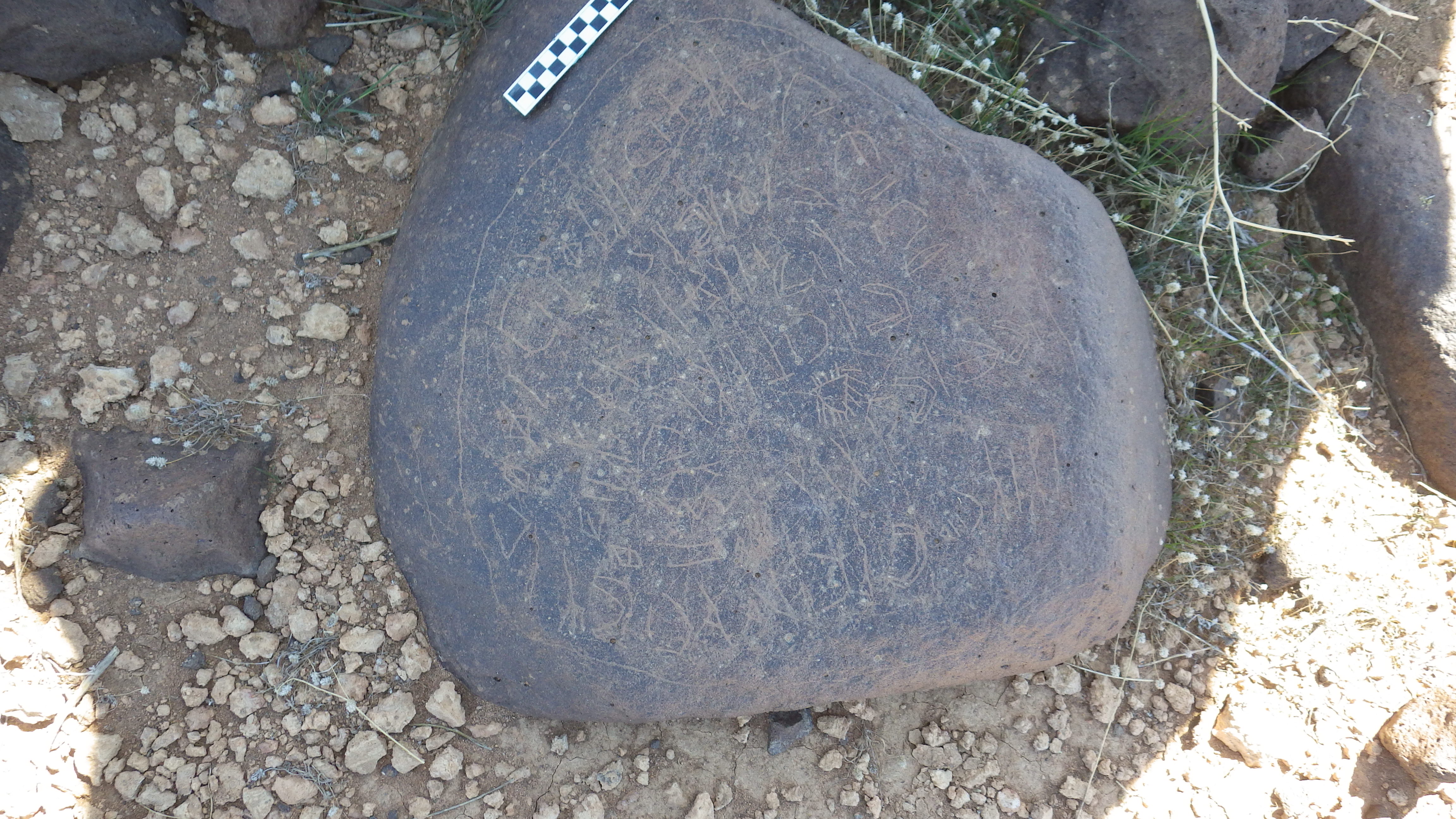 Image of siglum BES20 1473