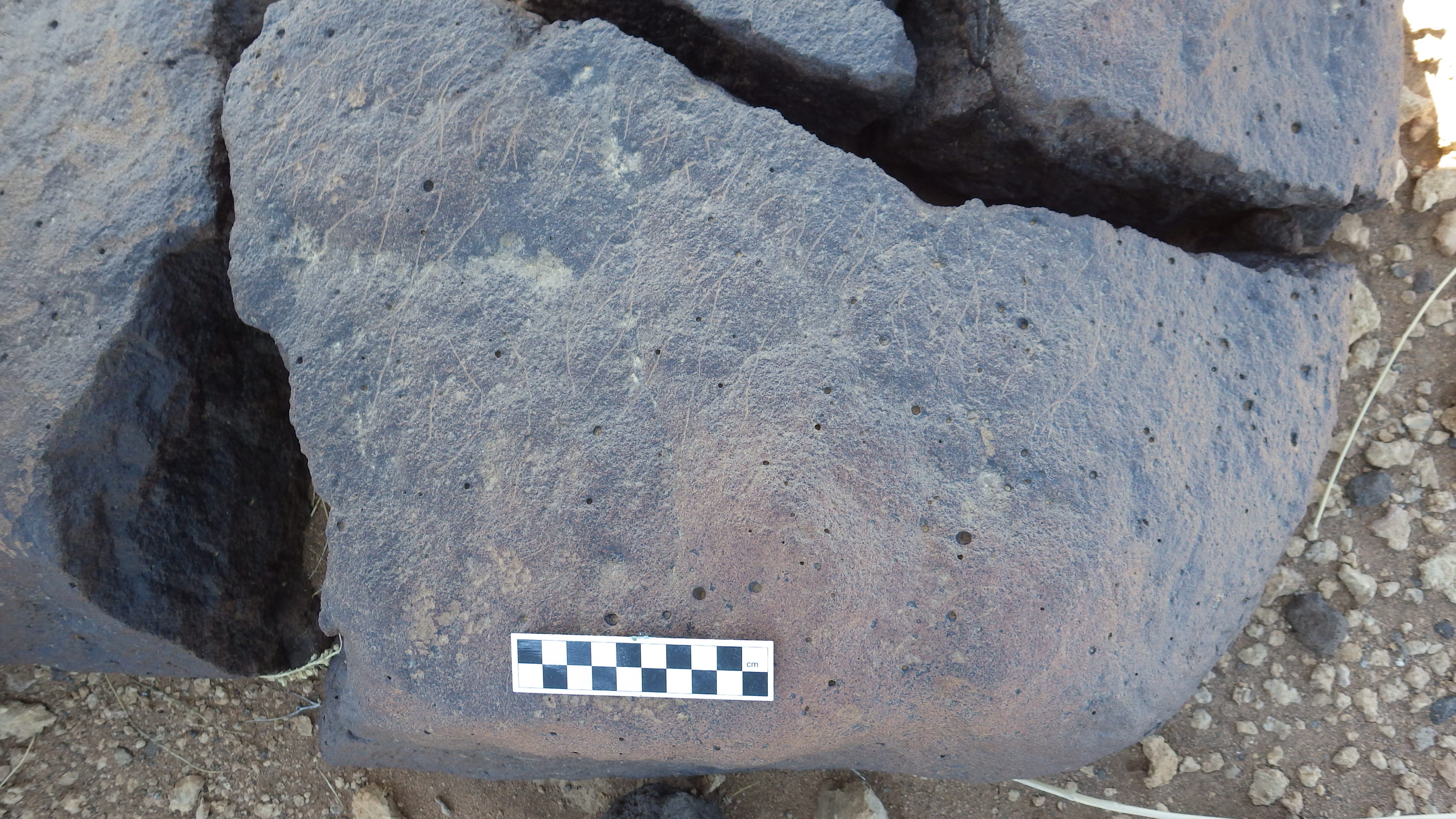 Image of siglum BES20 1474