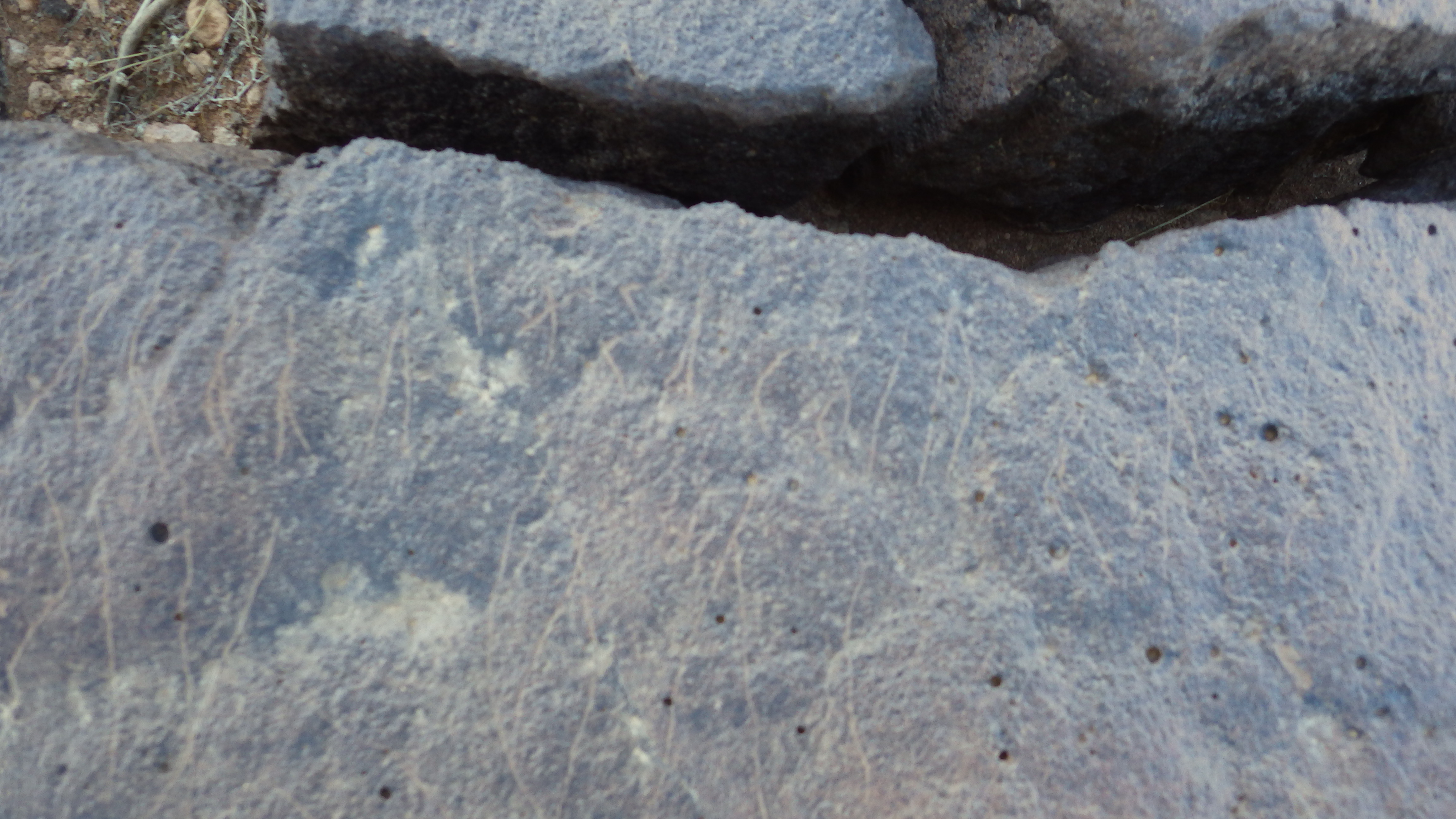 Image of siglum BES20 1474