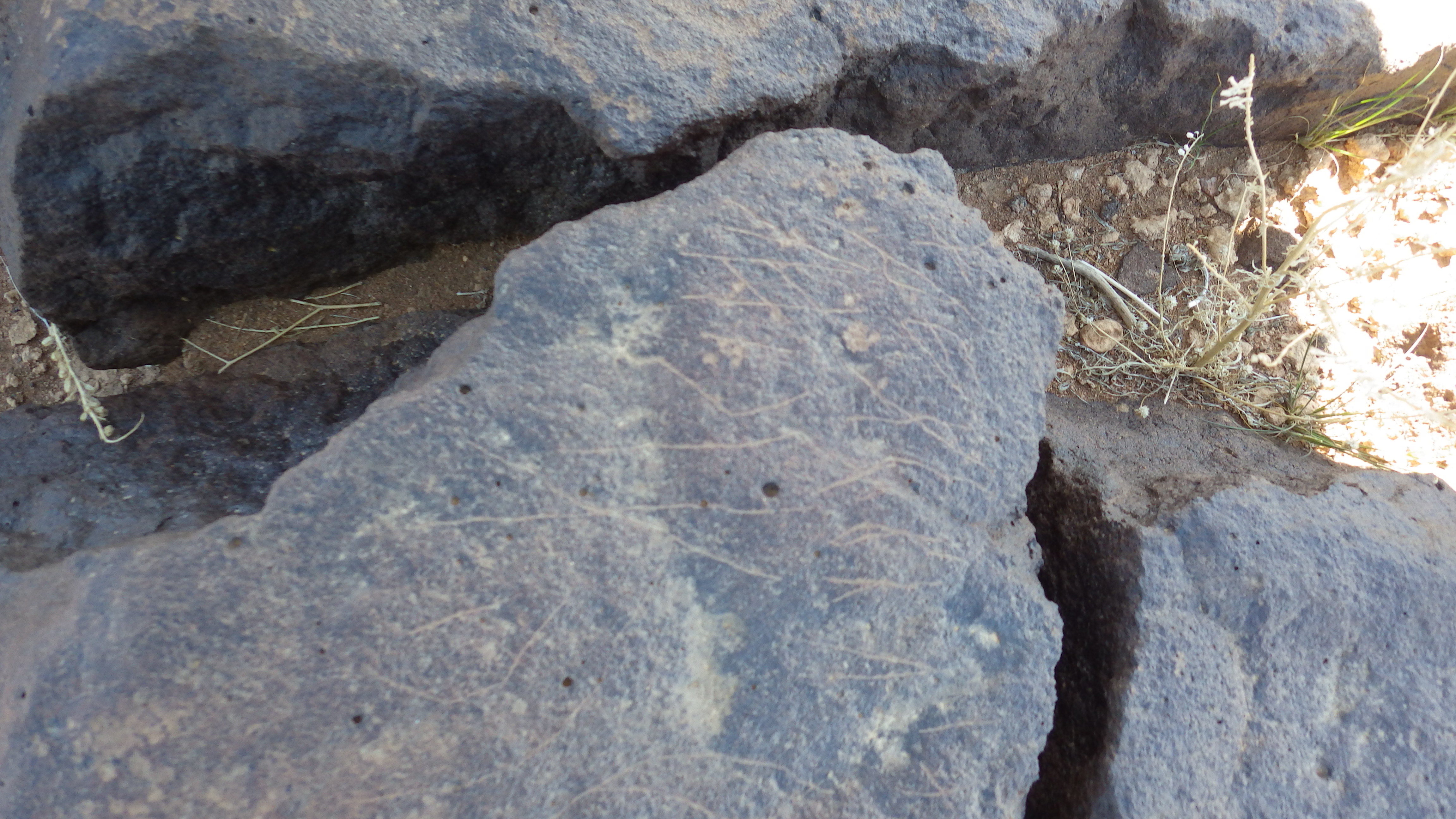 Image of siglum BES20 1474