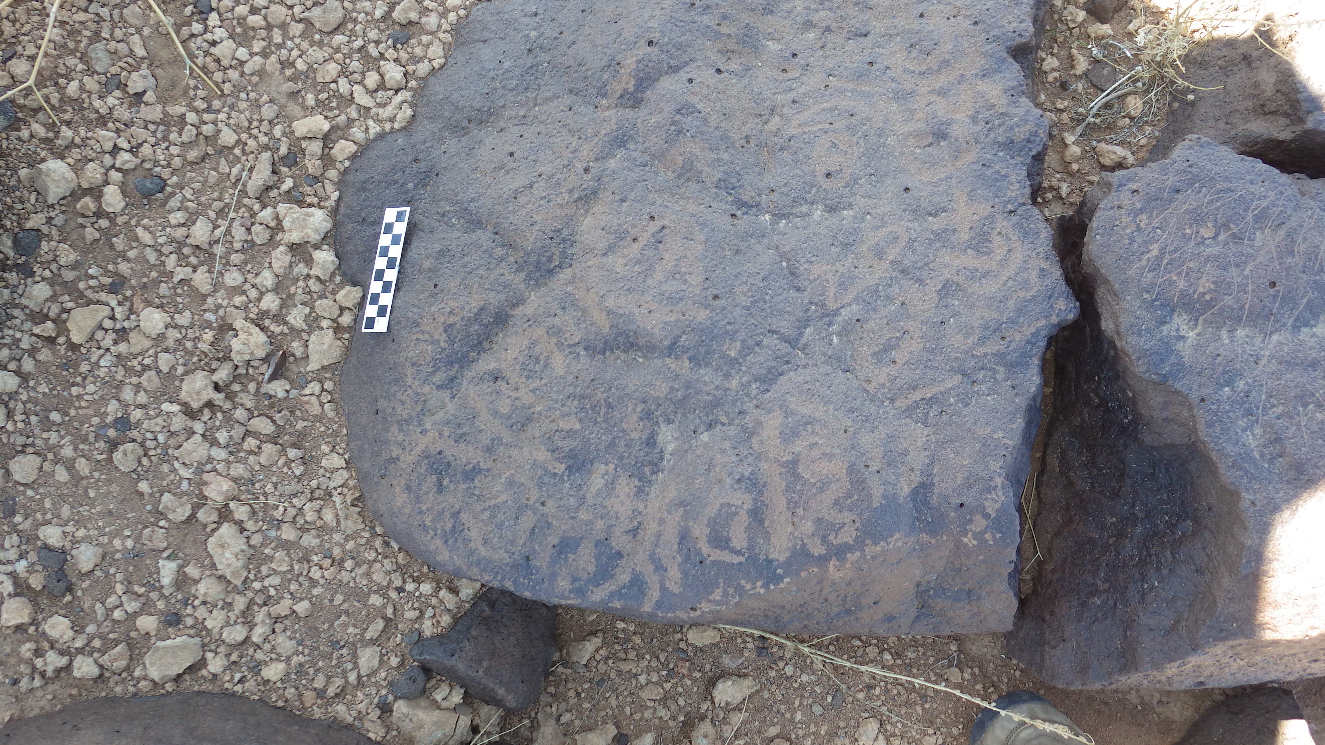 Image of siglum BES20 1476