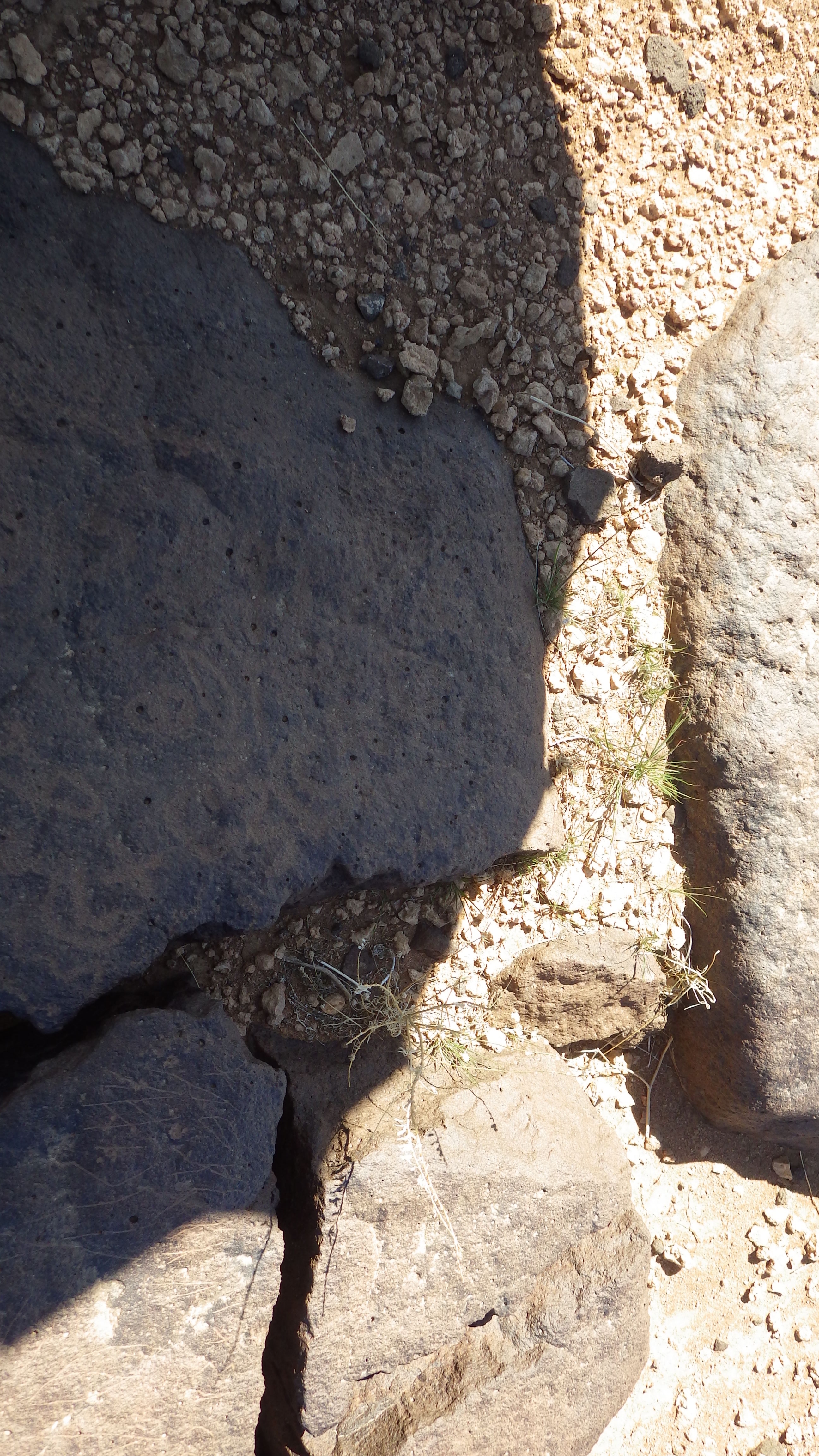 Image of siglum BES20 1476