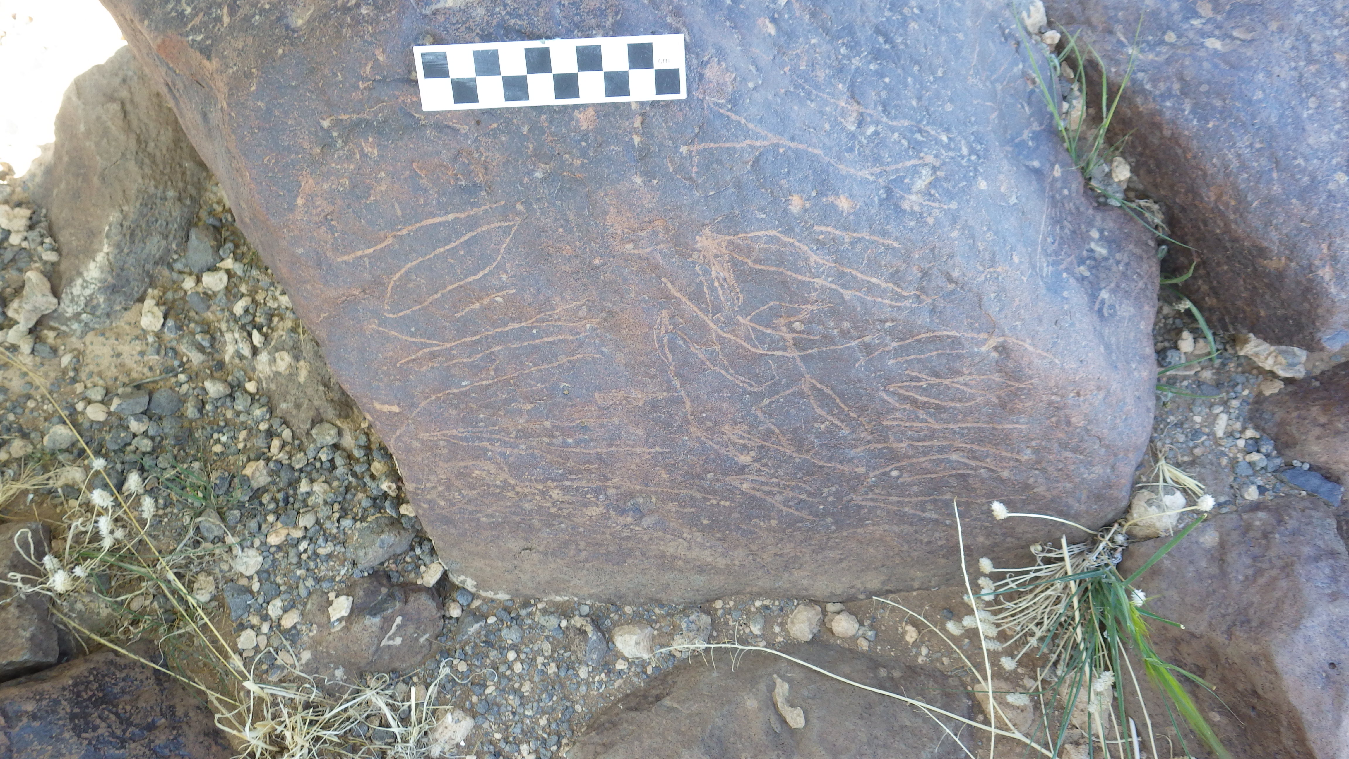 Image of siglum BES20 1478