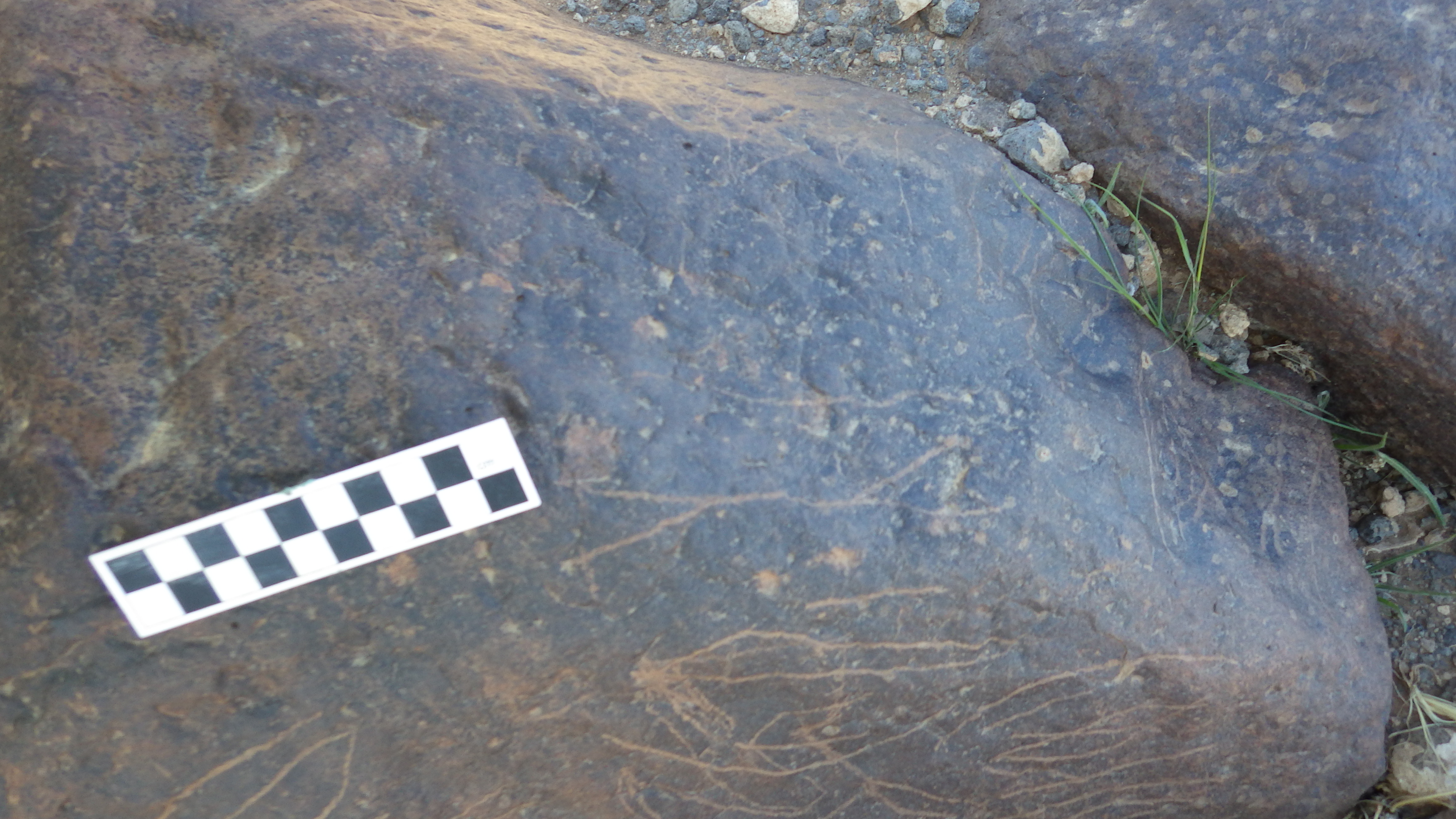 Image of siglum BES20 1478