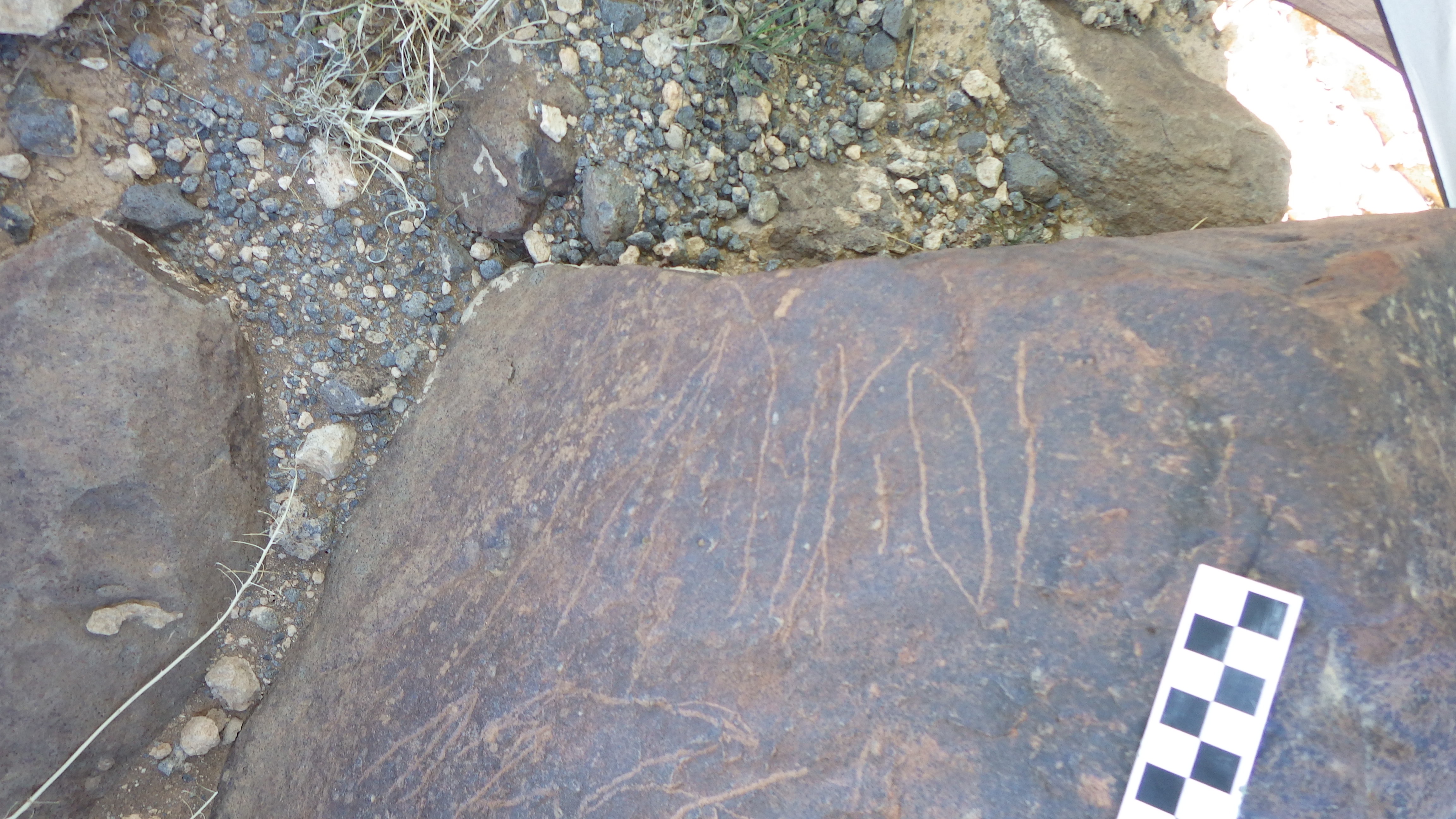 Image of siglum BES20 1478