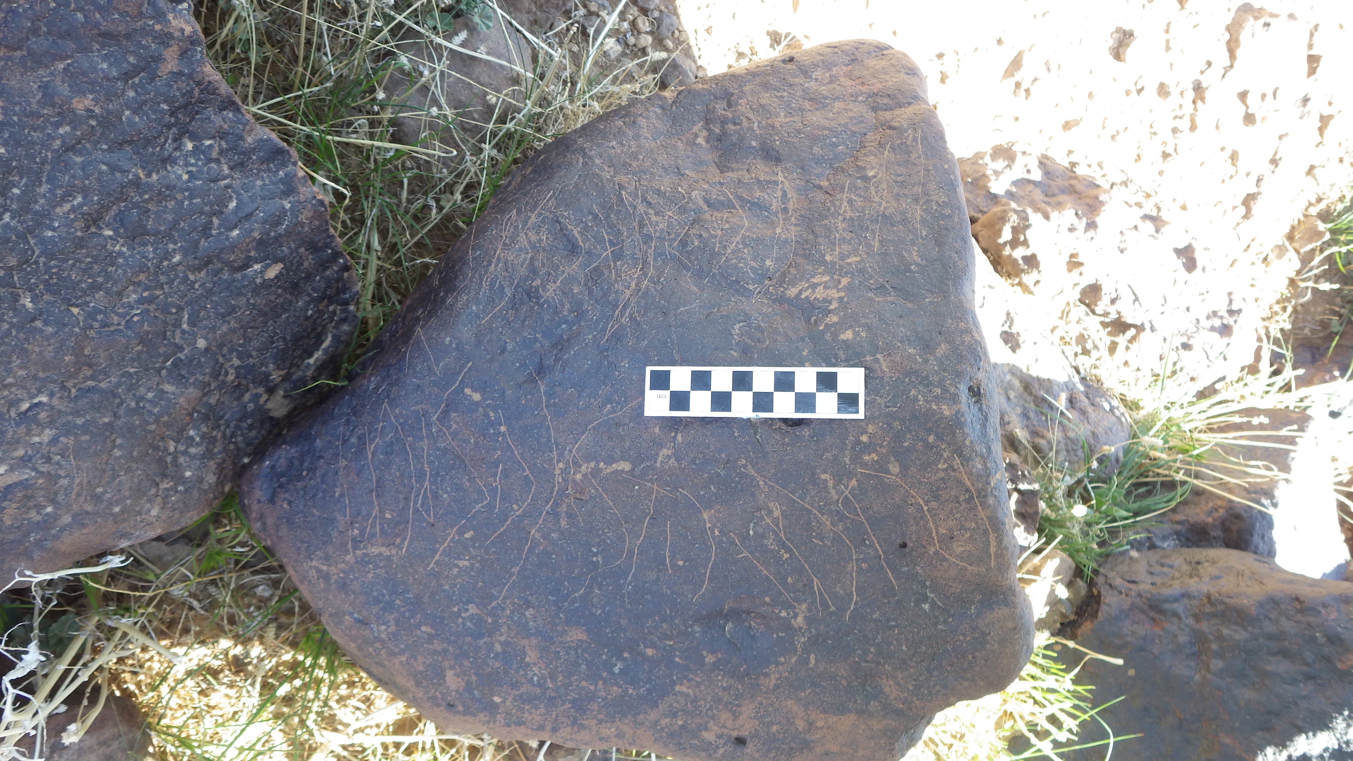 Image of siglum BES20 1479