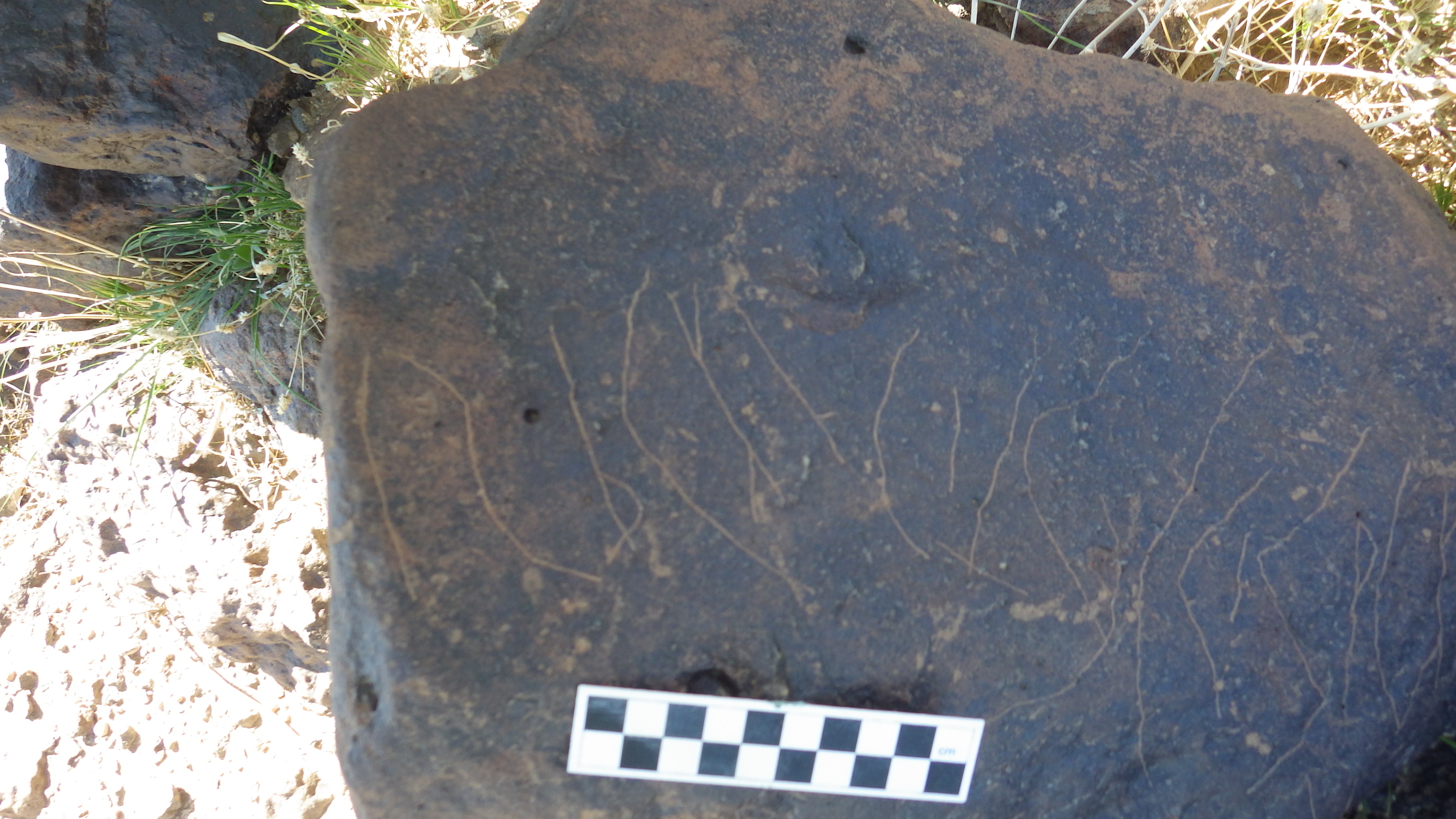 Image of siglum BES20 1479