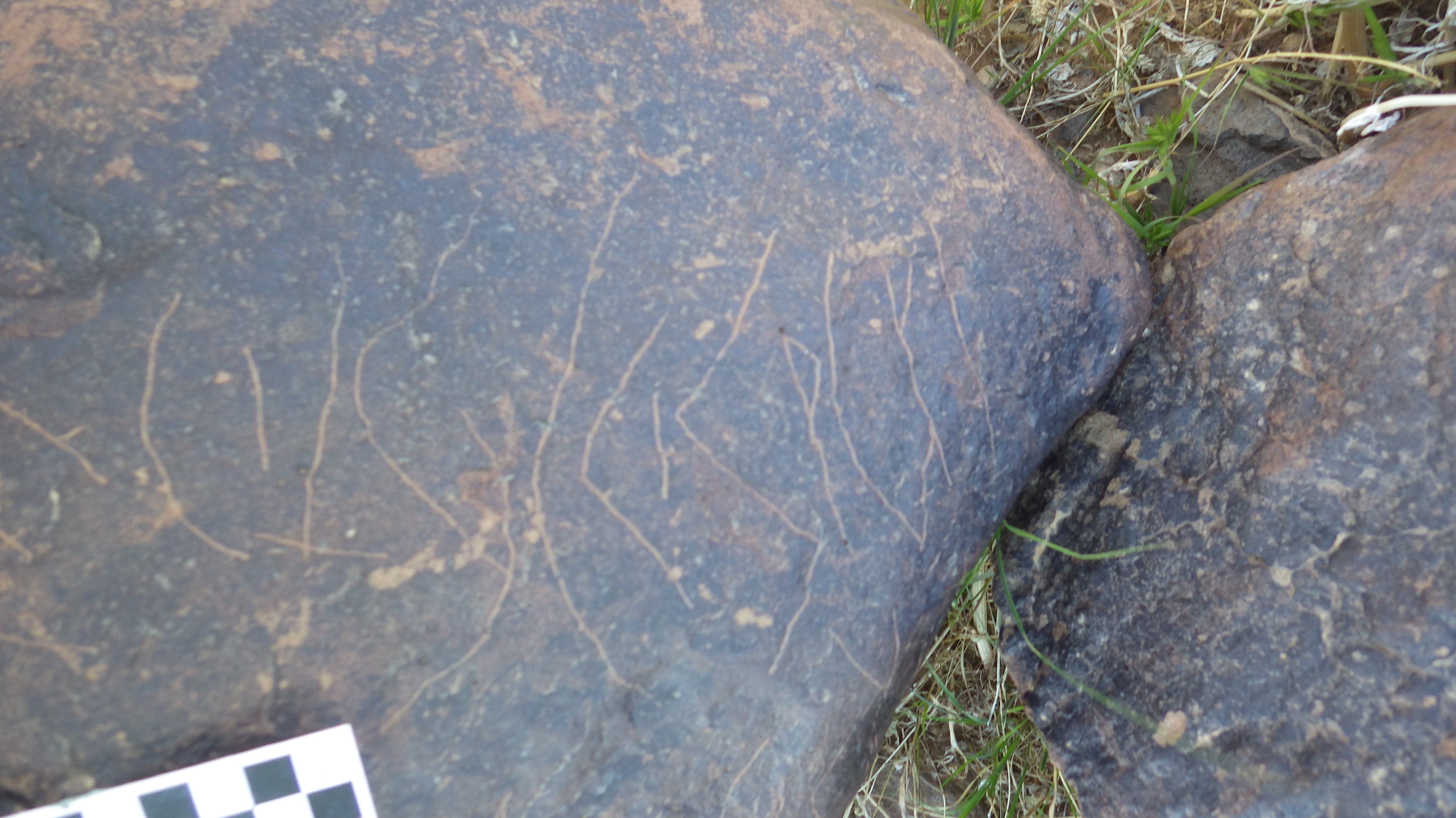 Image of siglum BES20 1479