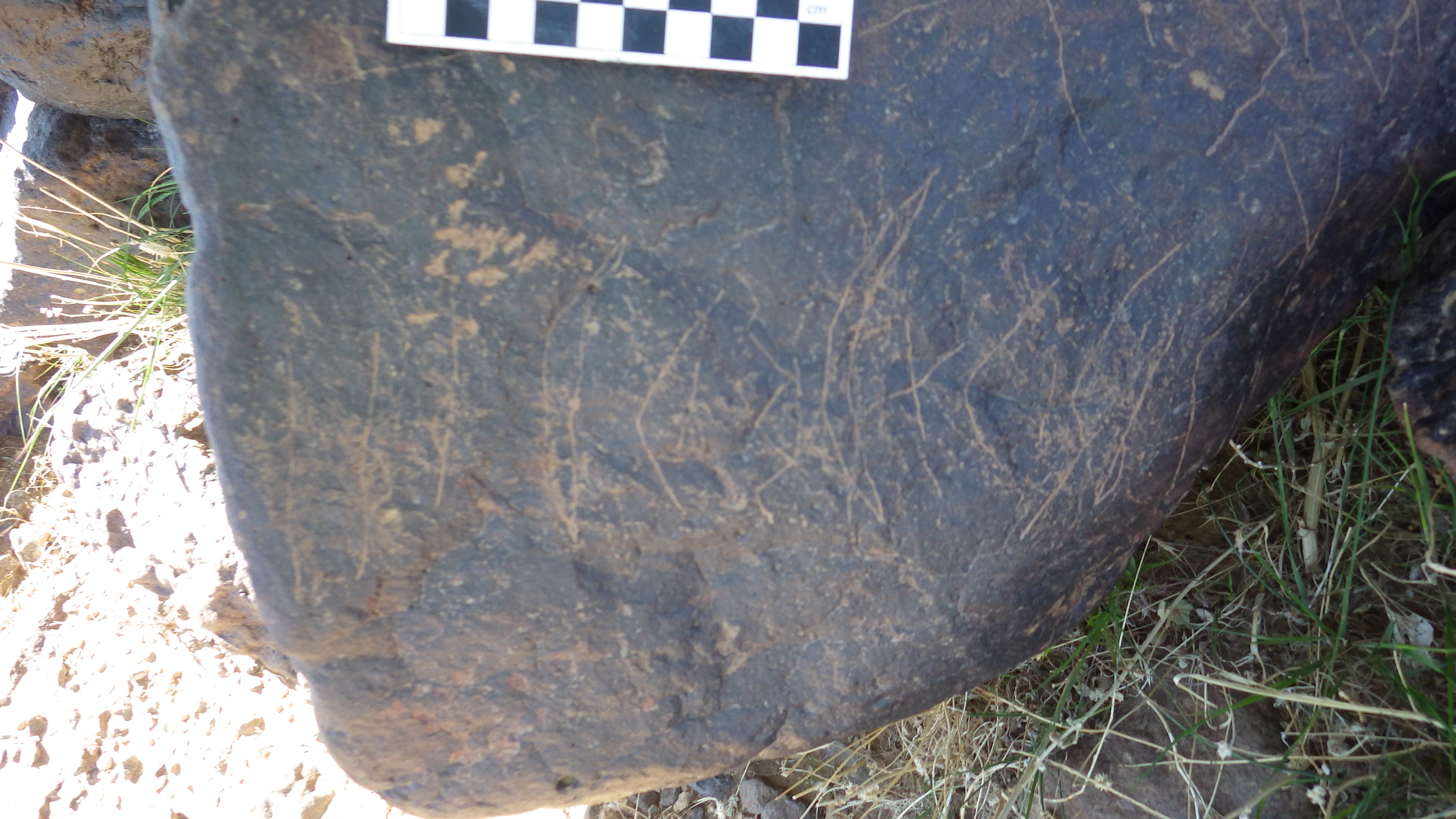 Image of siglum BES20 1480