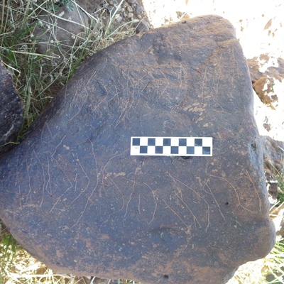 Image of siglum BES20 1480