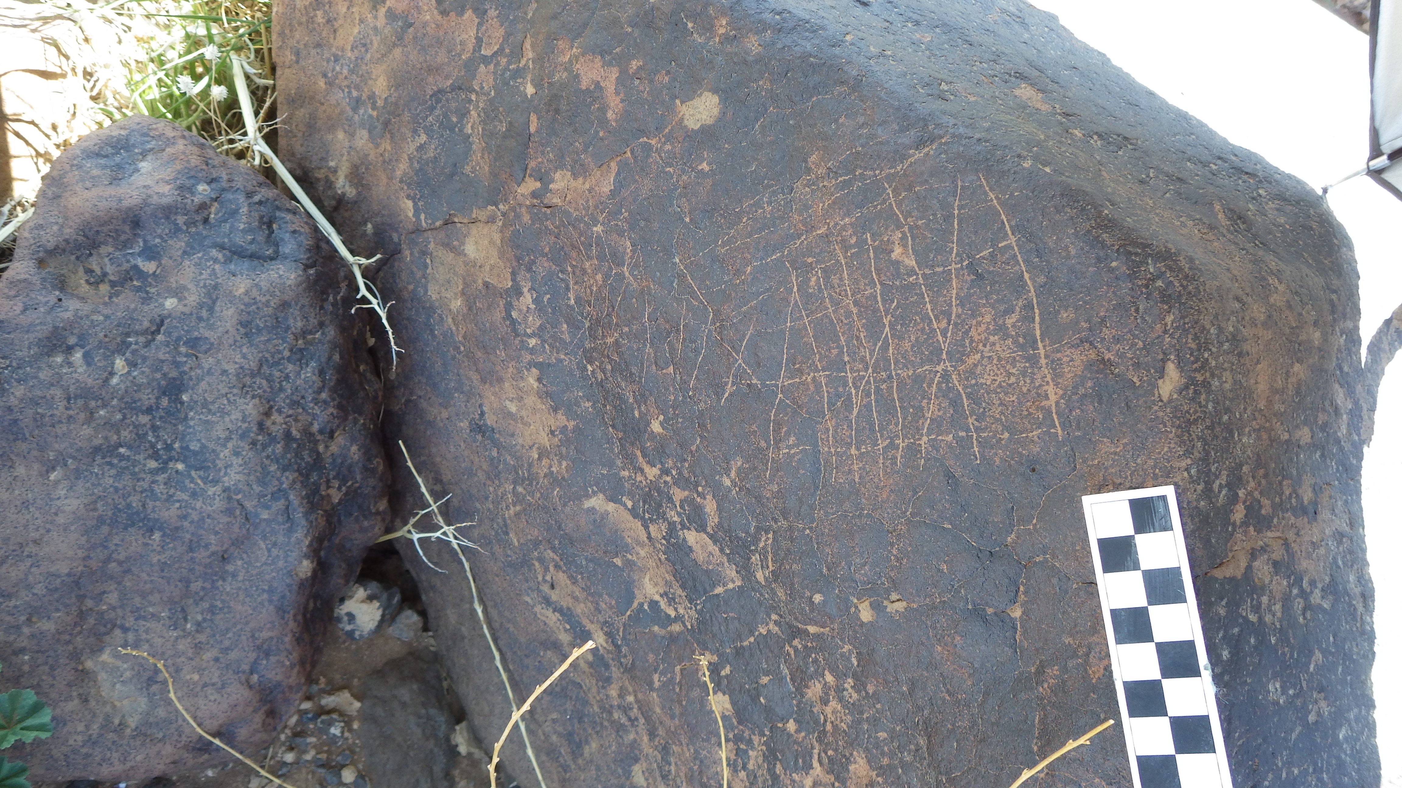 Image of siglum BES20 1481