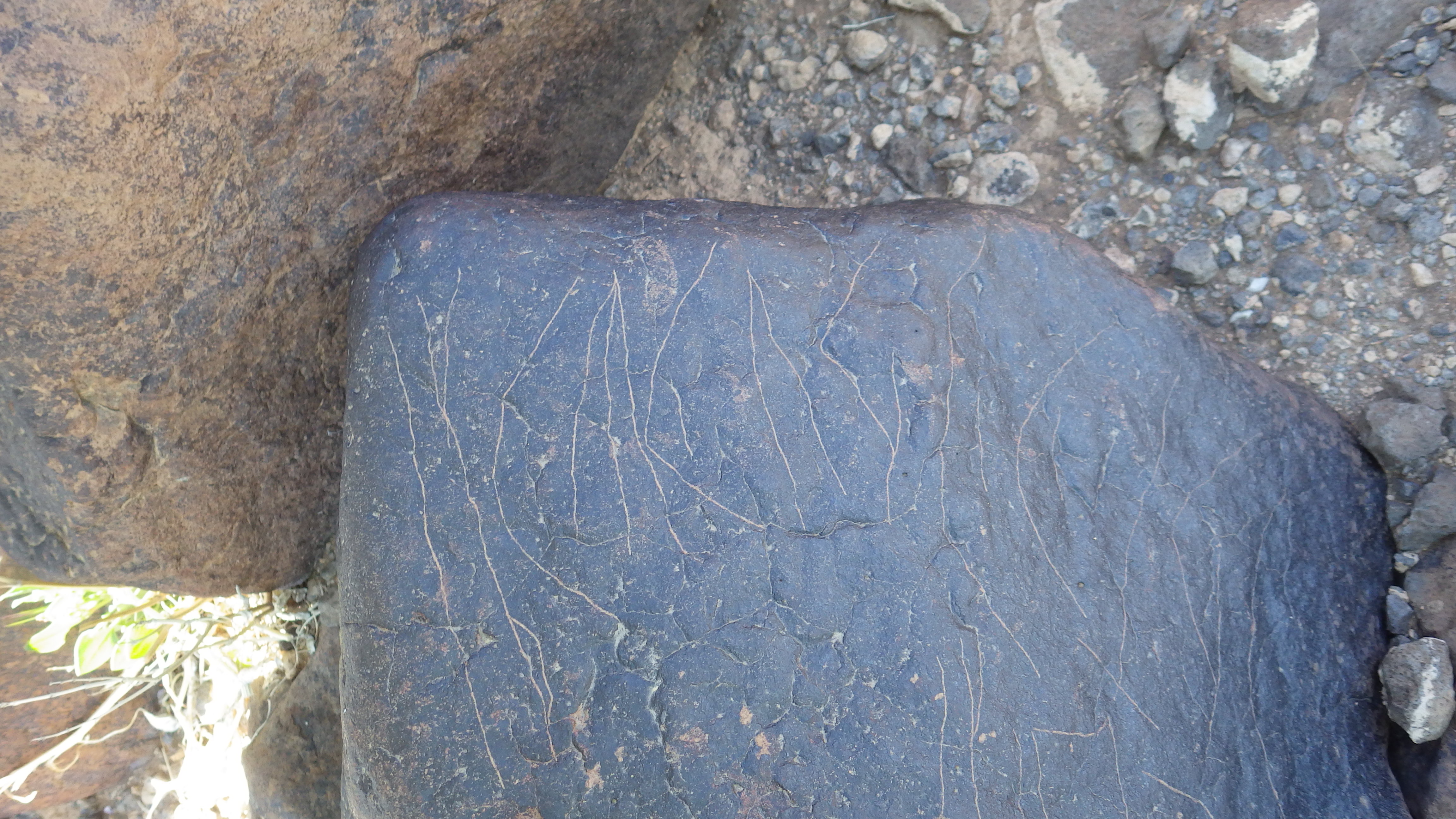 Image of siglum BES20 1482