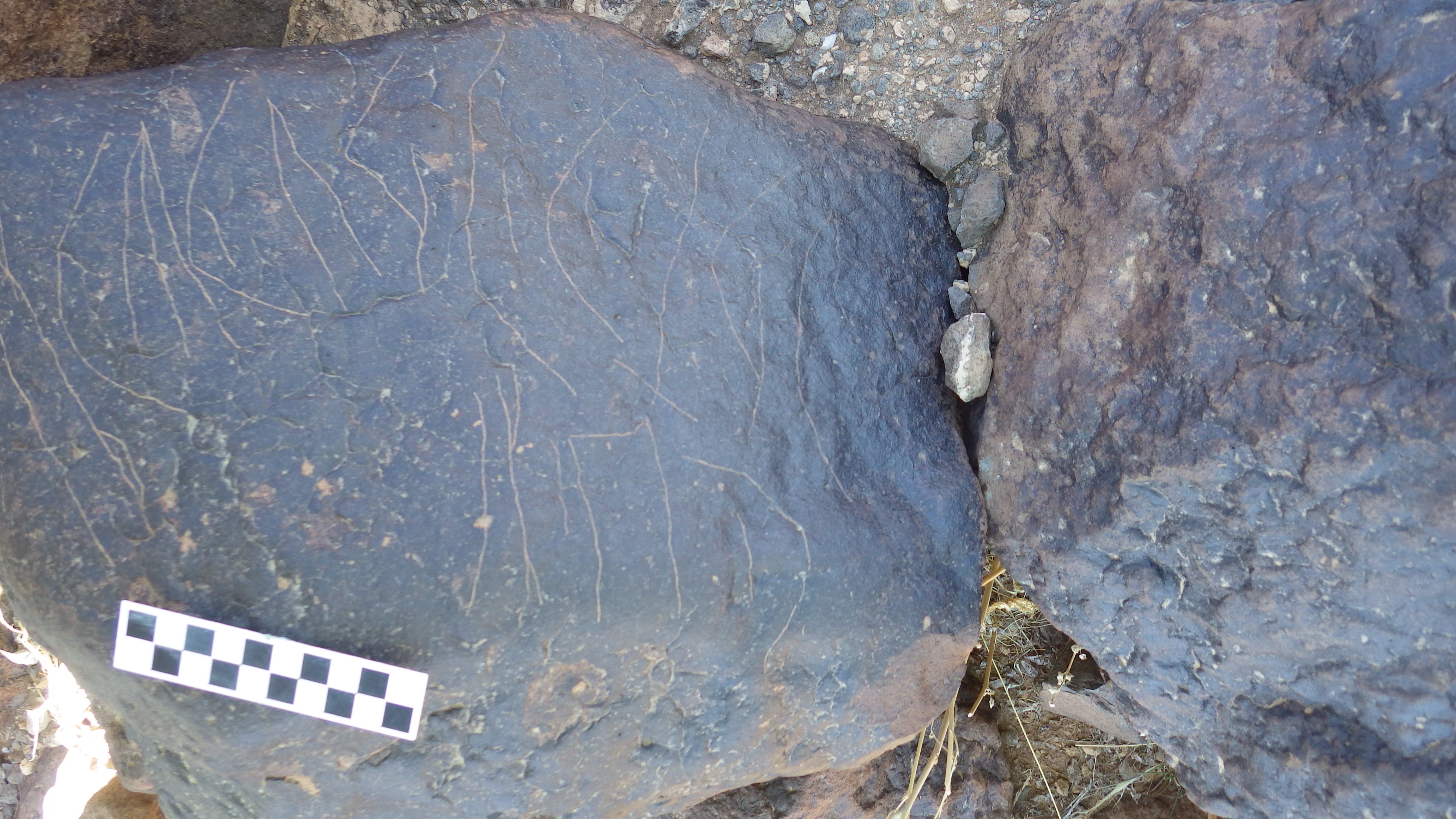 Image of siglum BES20 1482