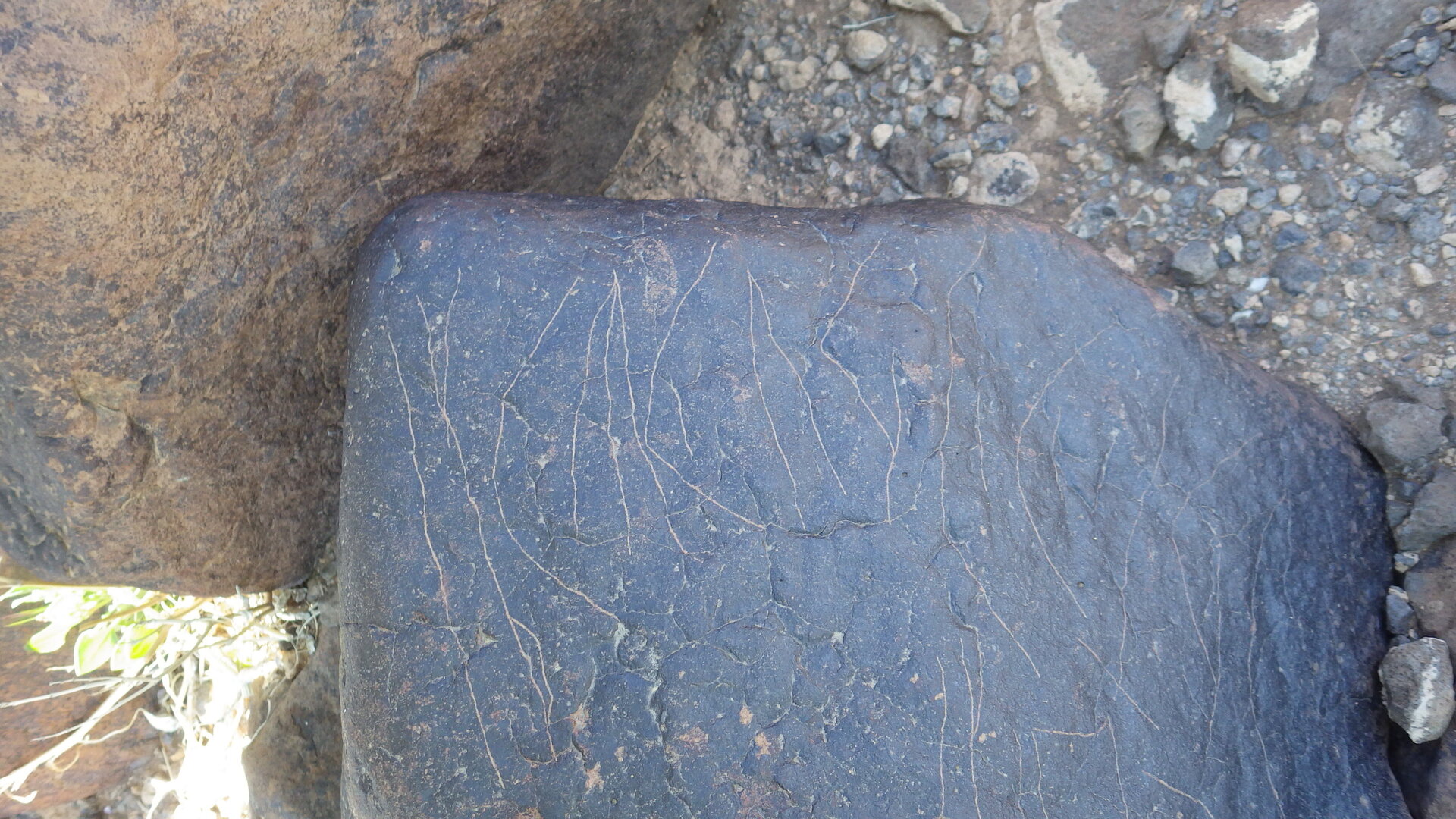 Image of siglum BES20 1482