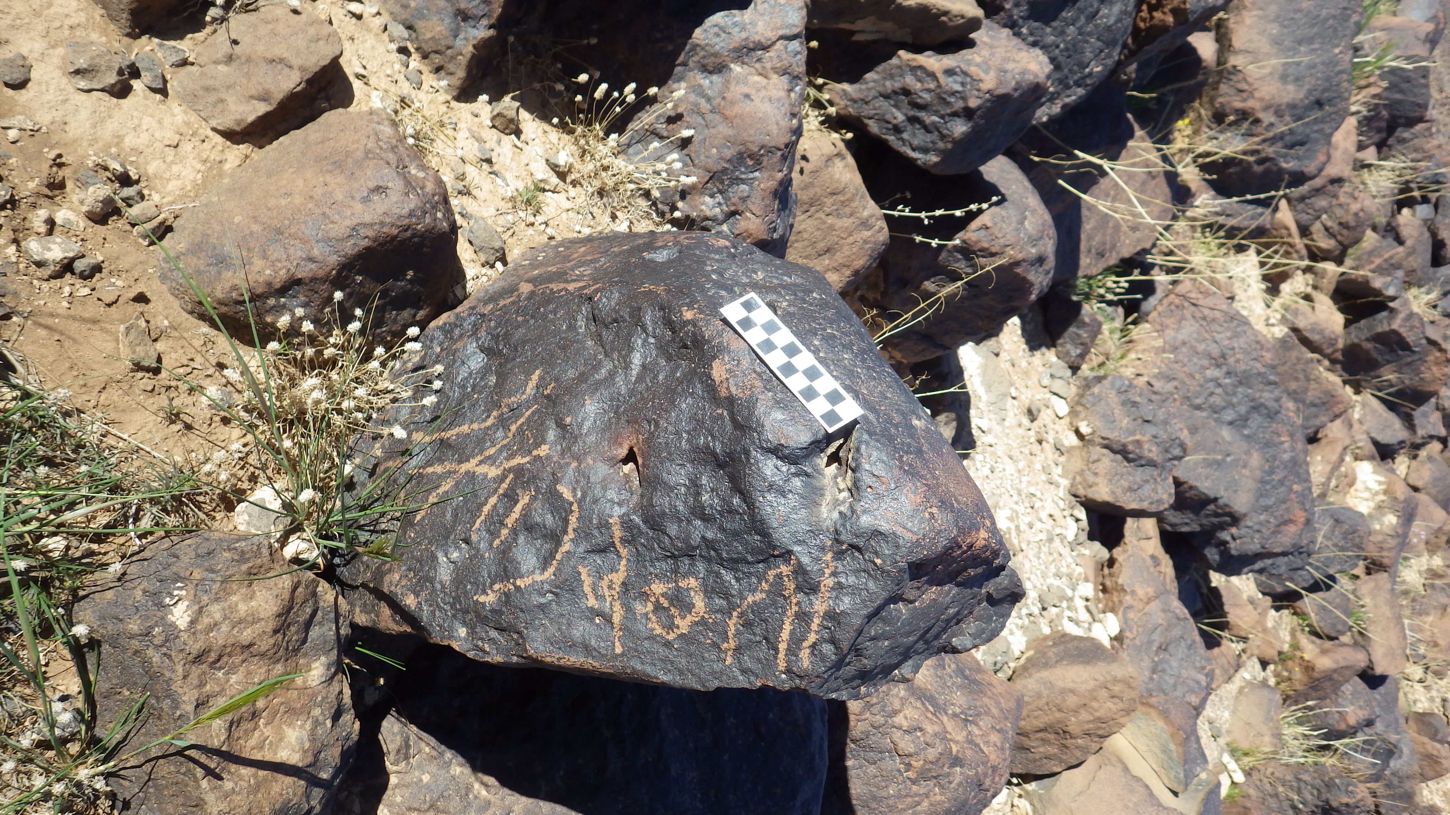 Image of siglum BES20 1483