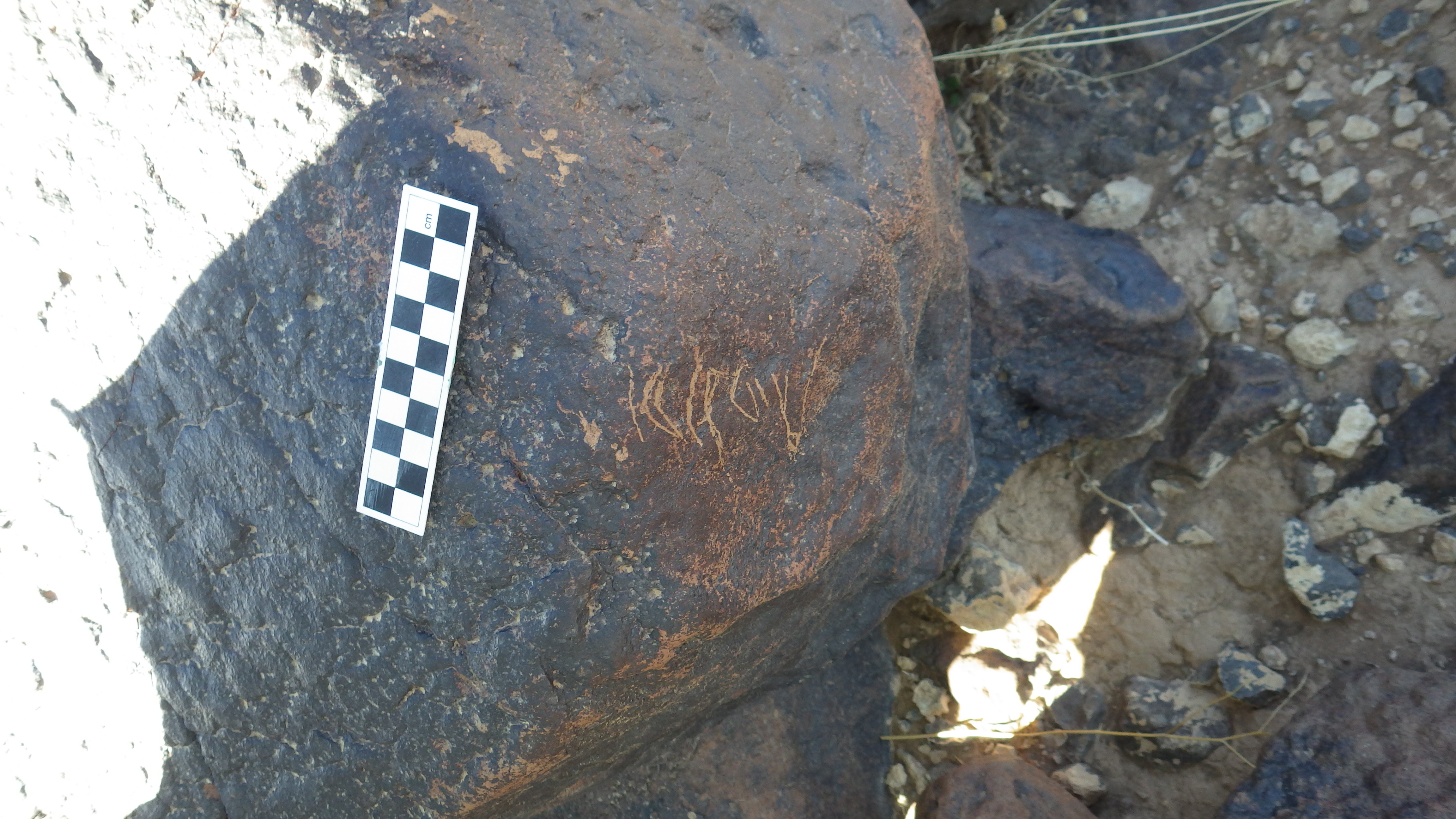 Image of siglum BES20 1484