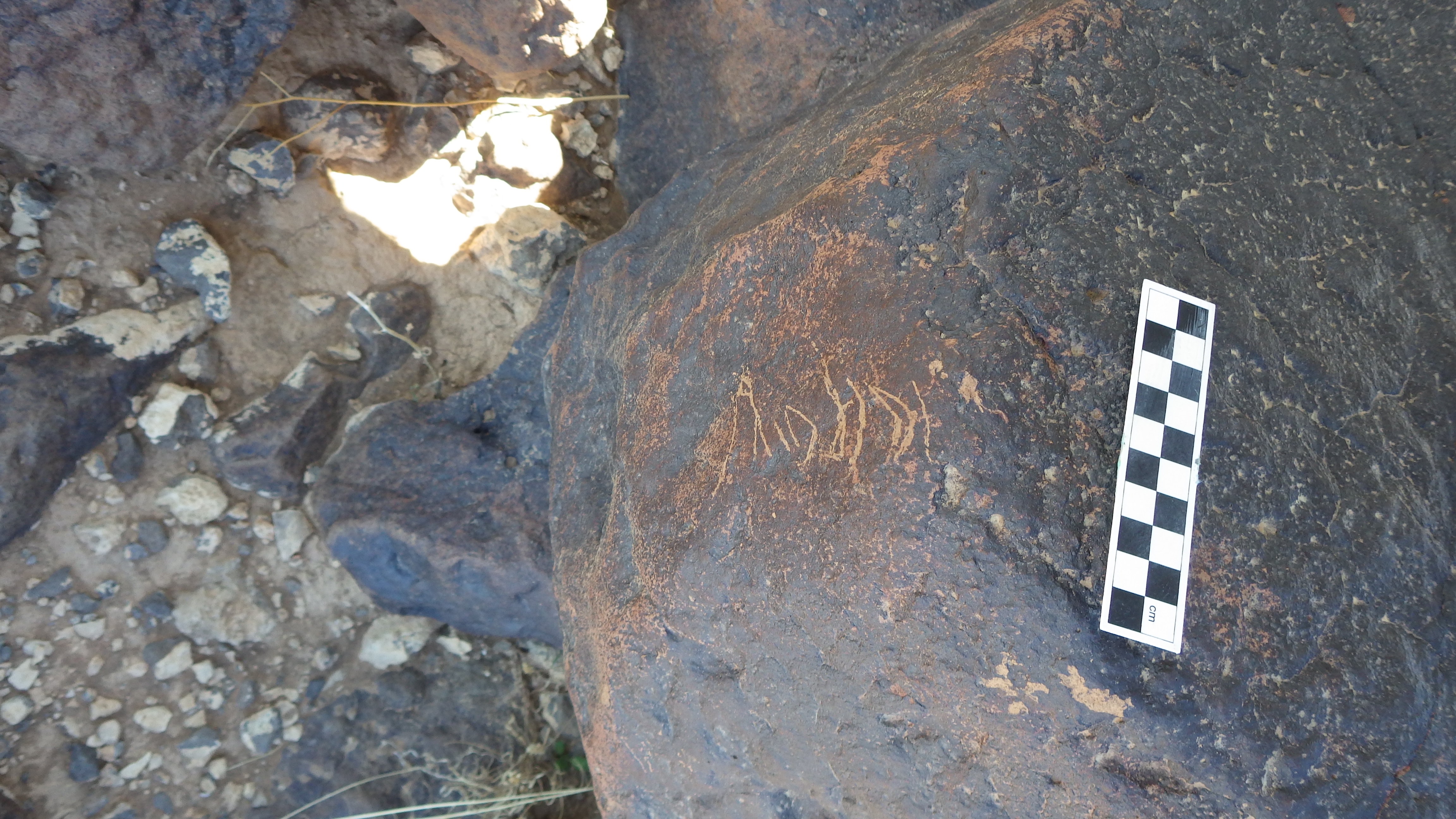 Image of siglum BES20 1484