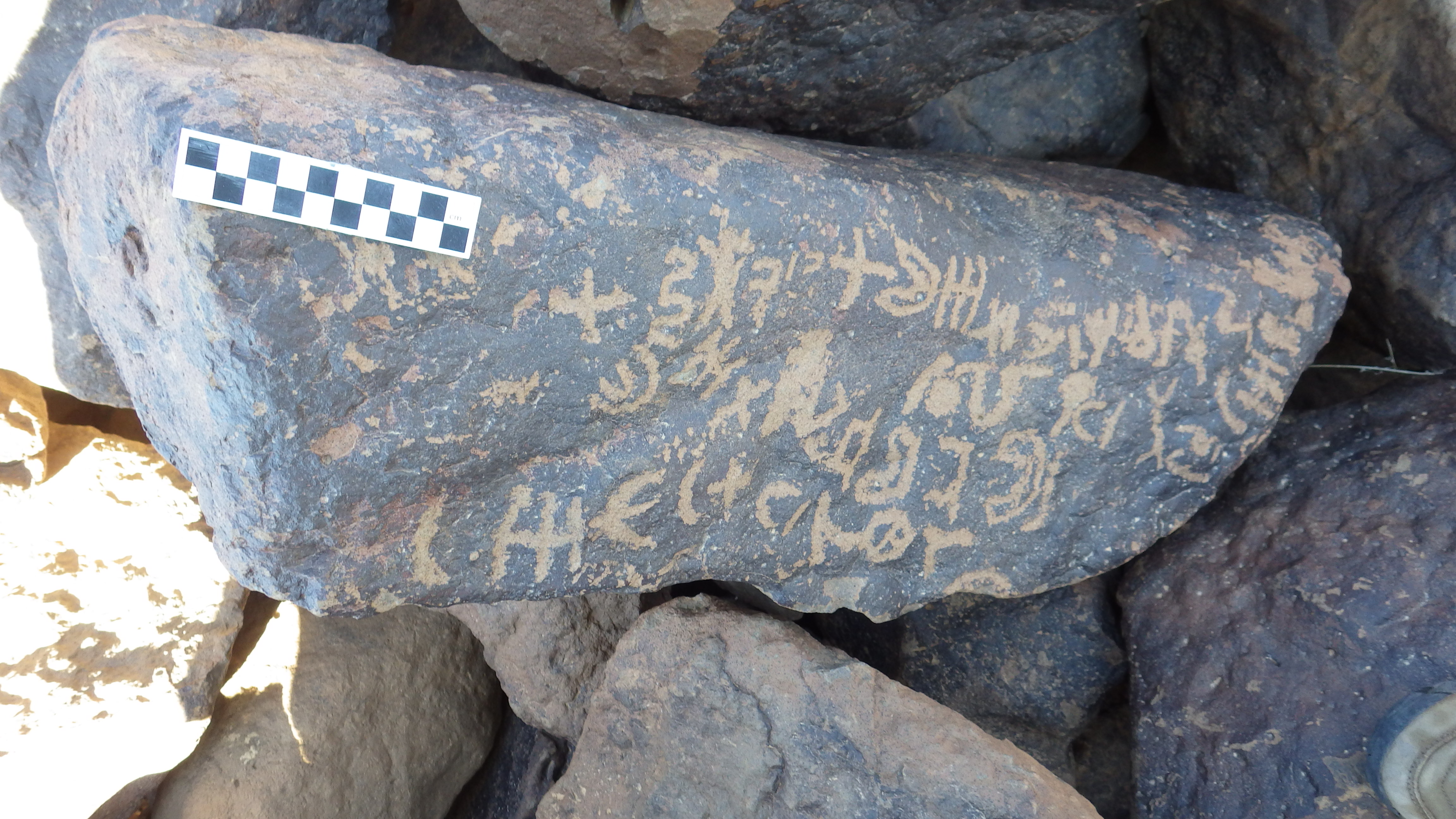 Image of siglum BES20 1491