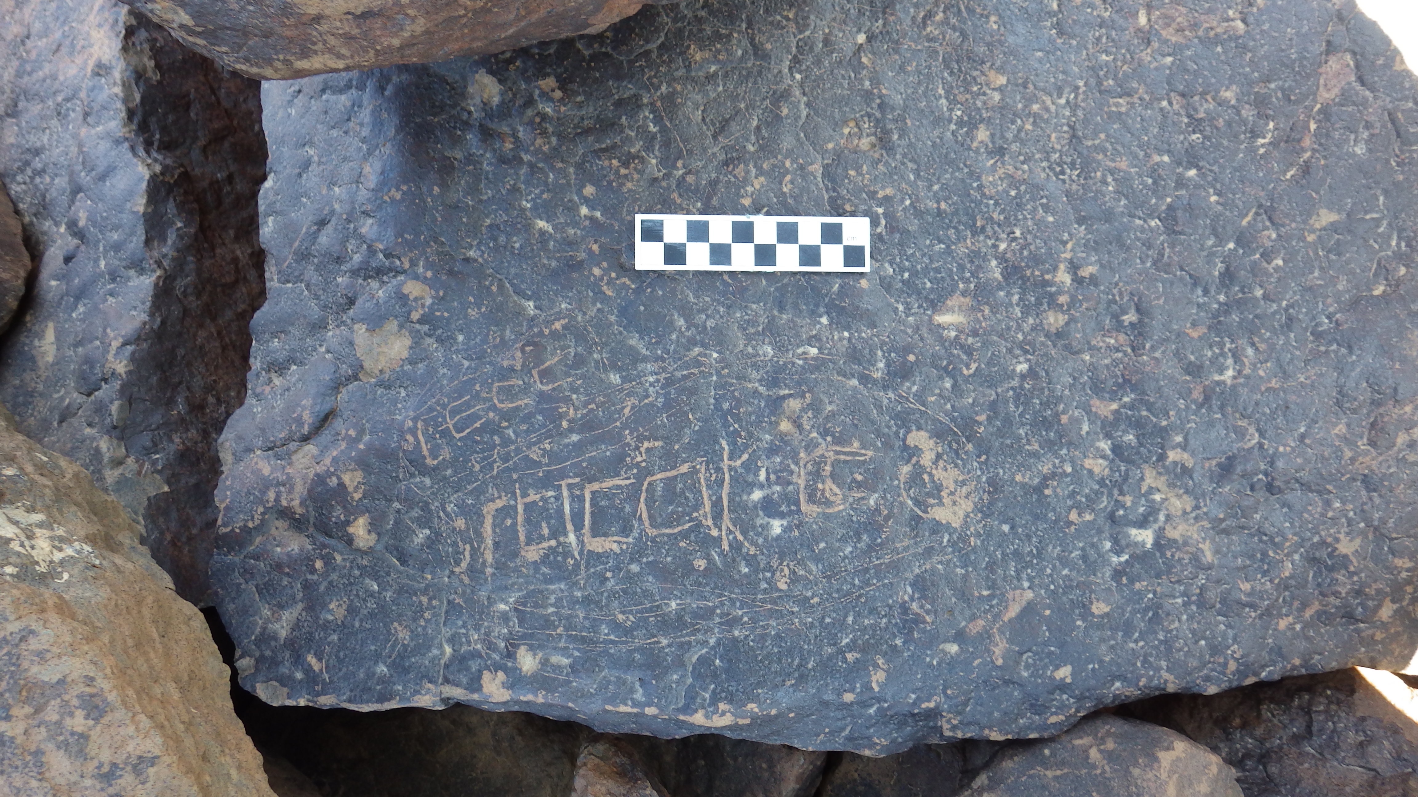 Image of siglum BES20 1493