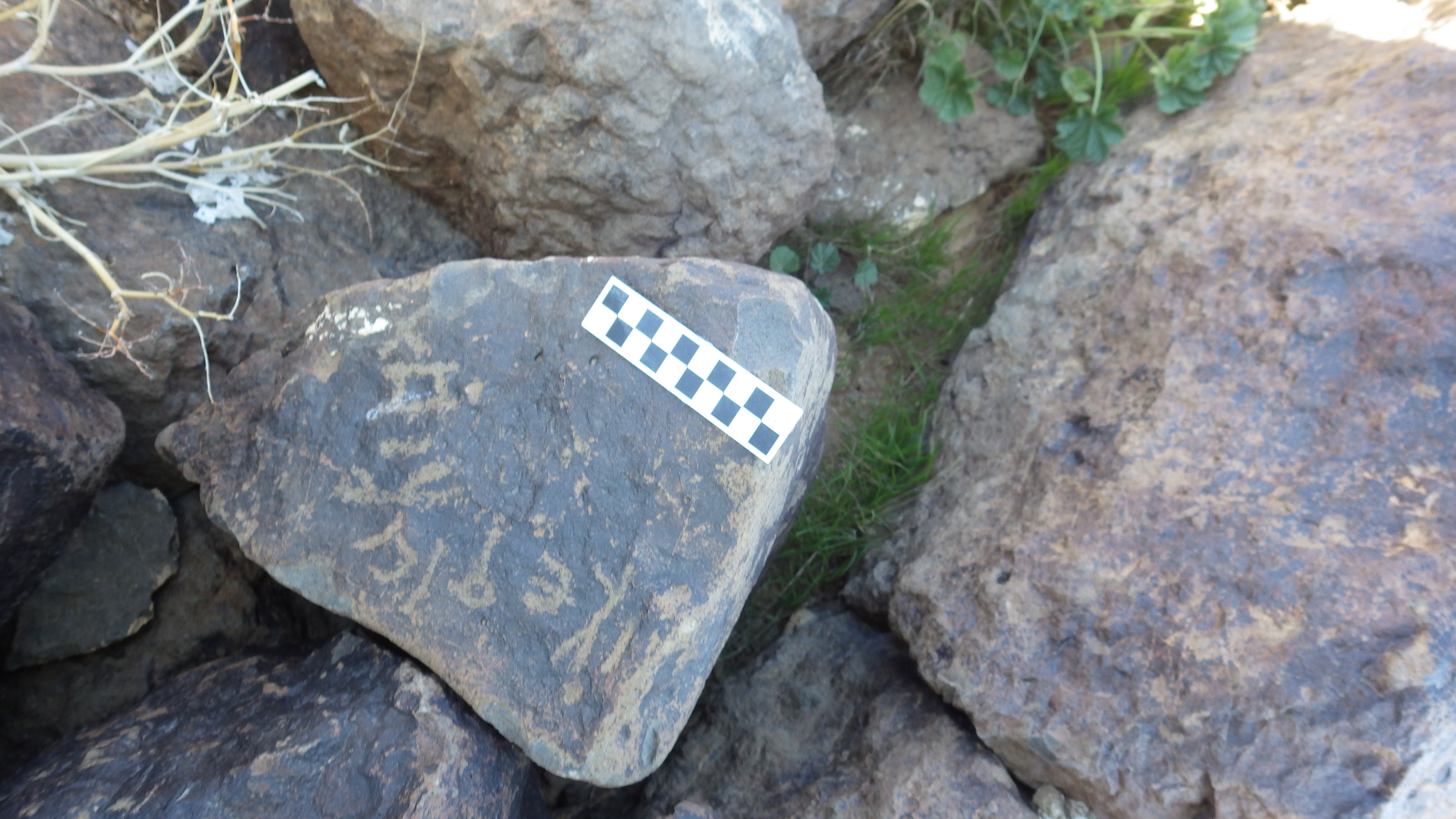 Image of siglum BES20 1500