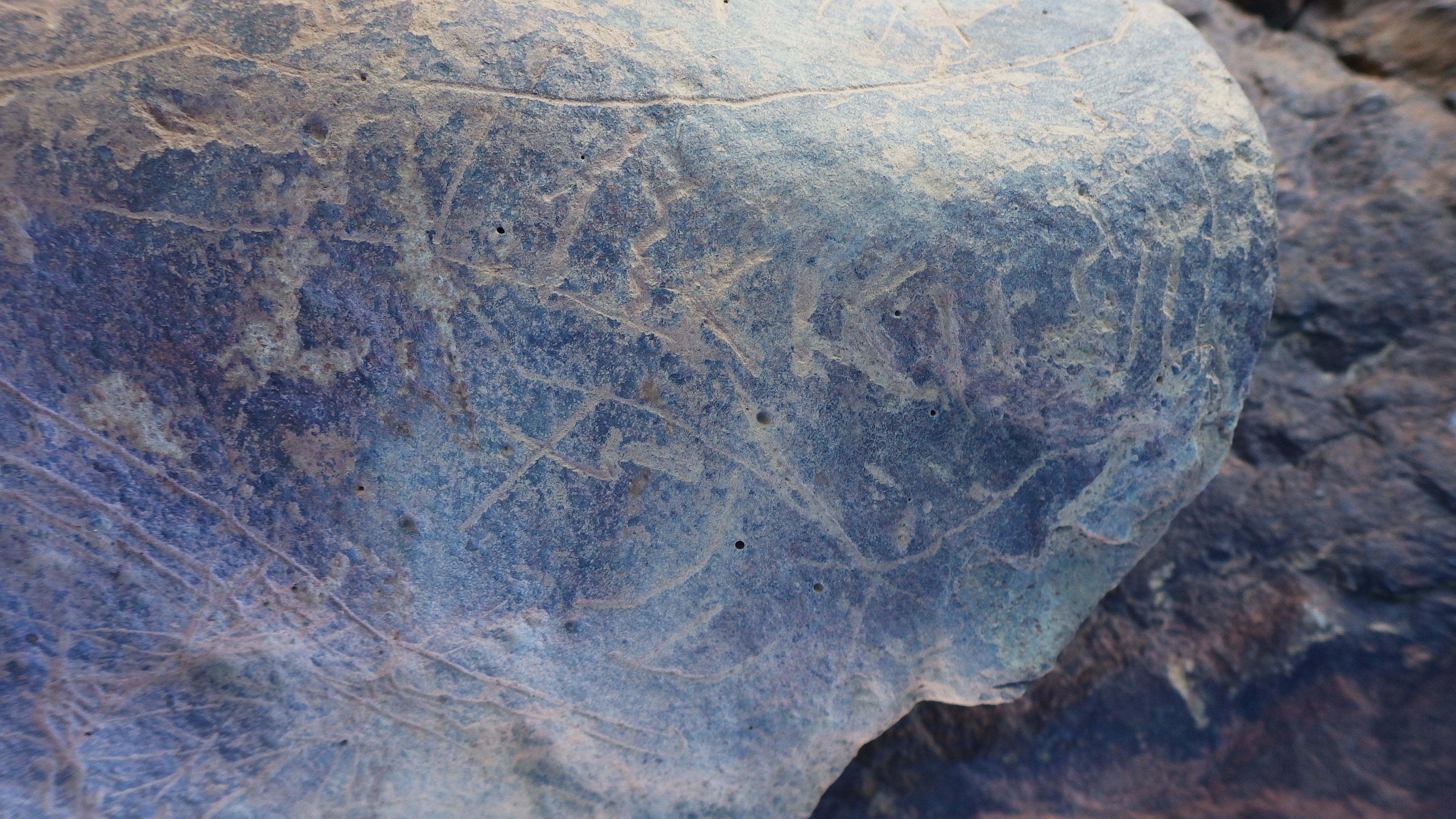 Image of siglum BES20 1505