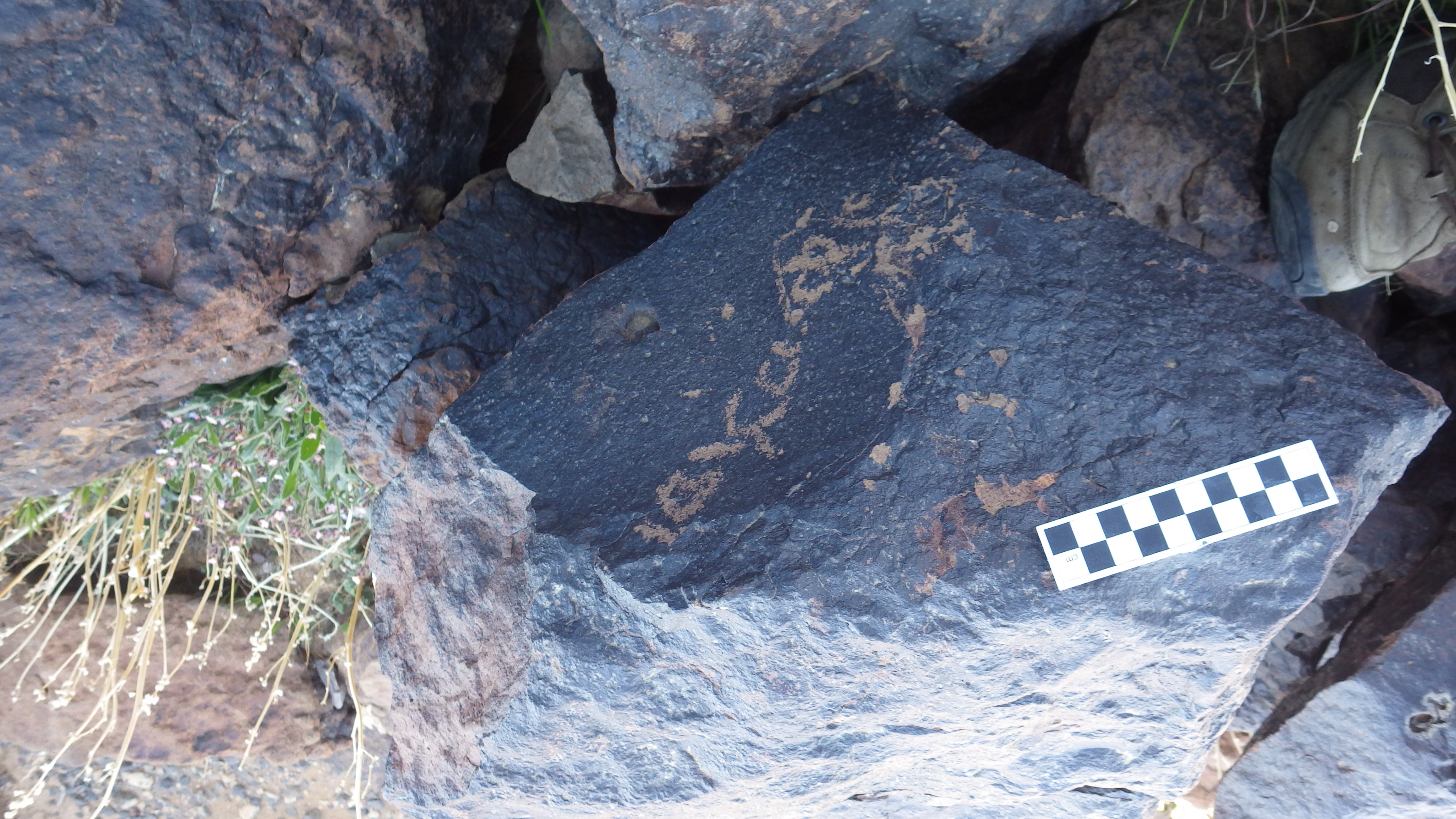 Image of siglum BES20 1506