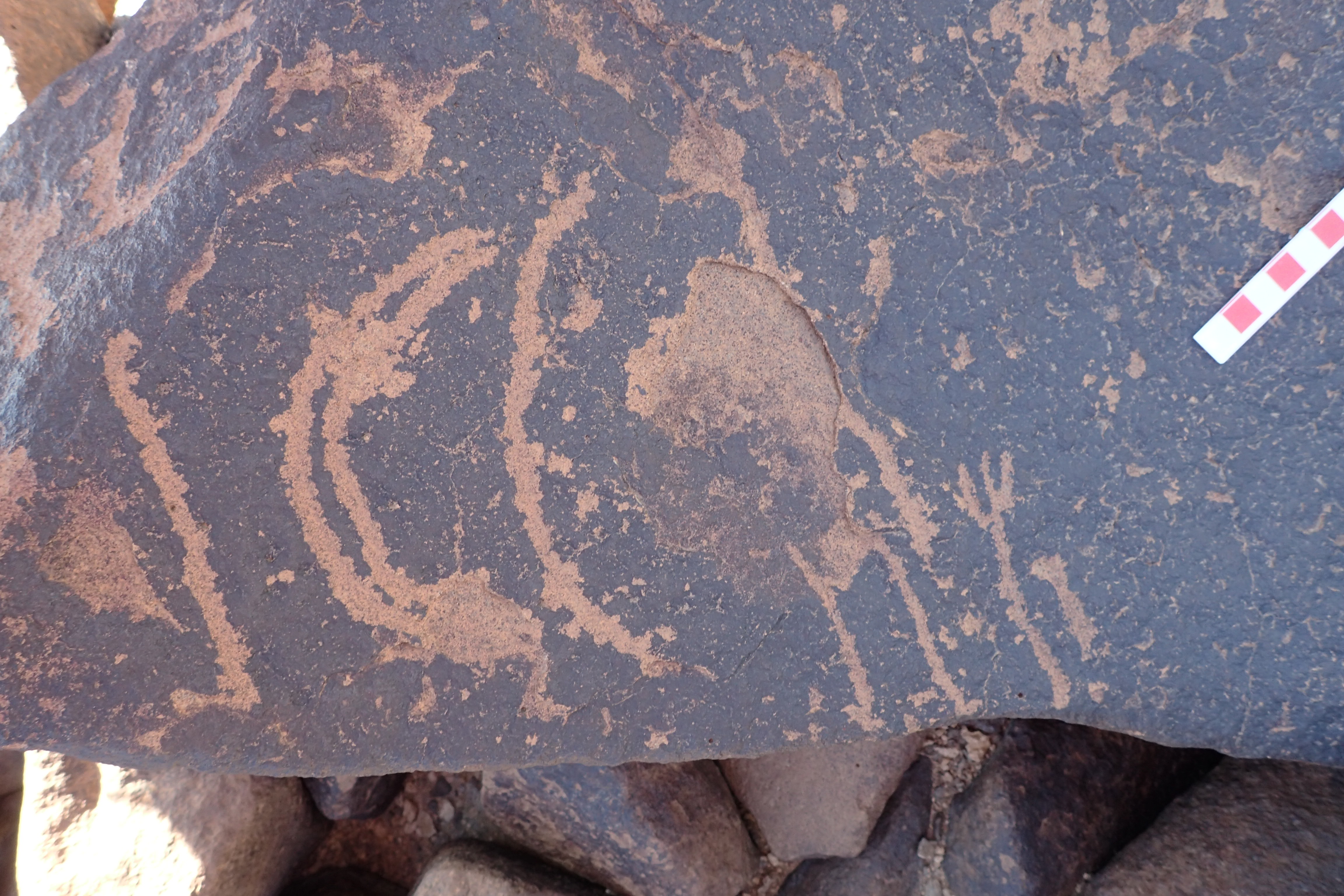 Image of siglum BES20 1509