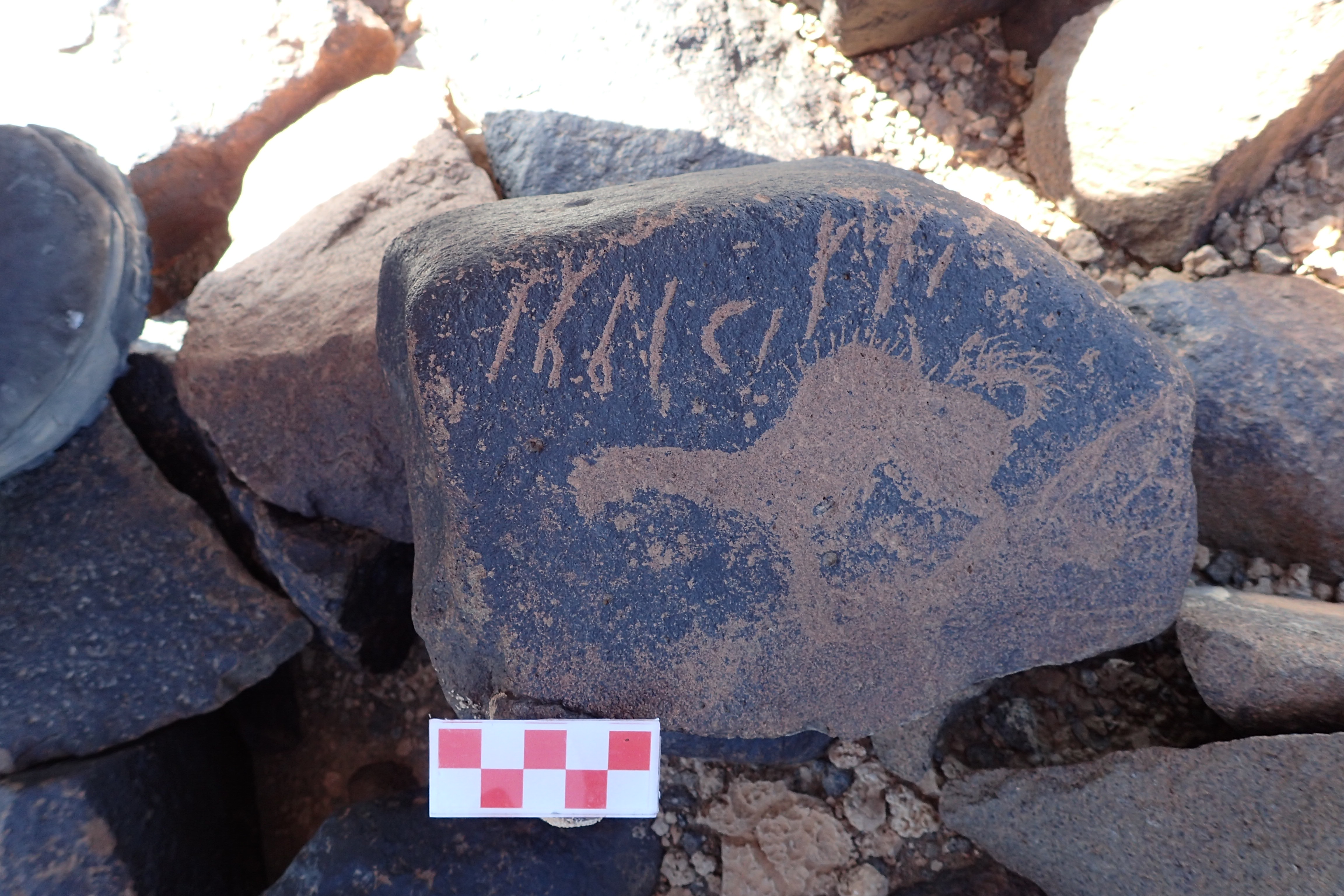 Image of siglum BES20 1512