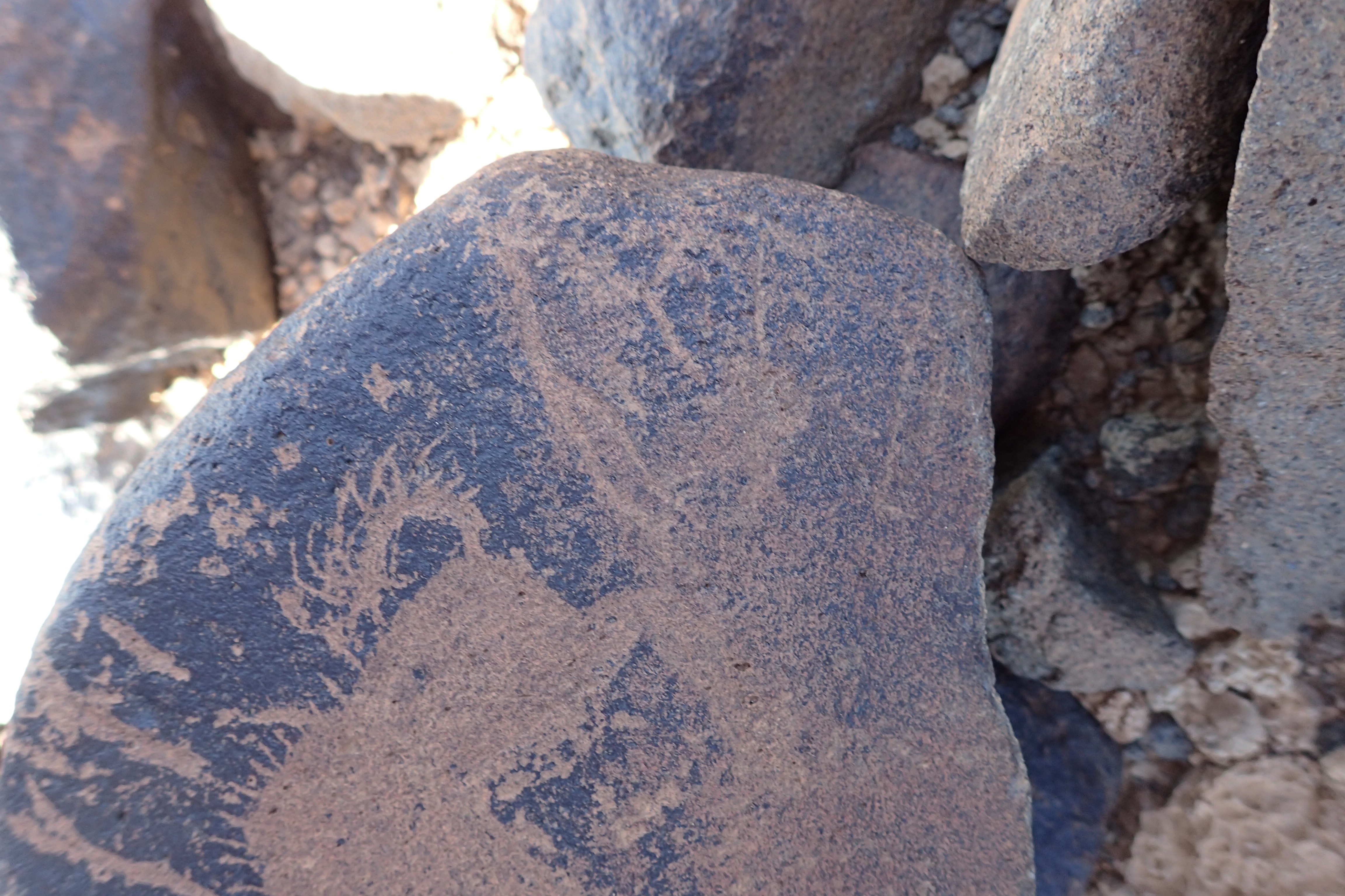 Image of siglum BES20 1512