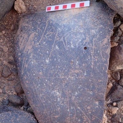 Image of siglum BES20 1517