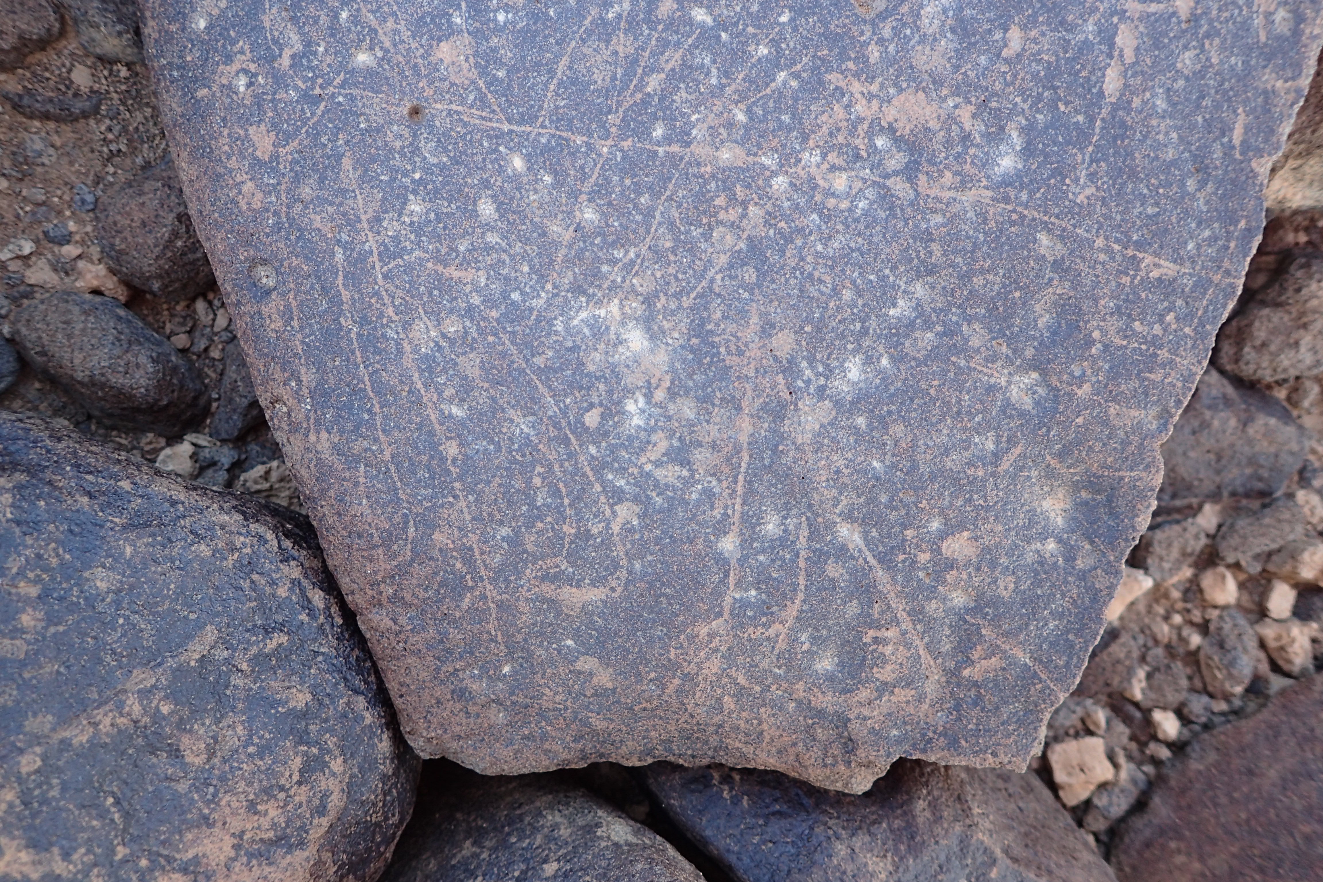 Image of siglum BES20 1519