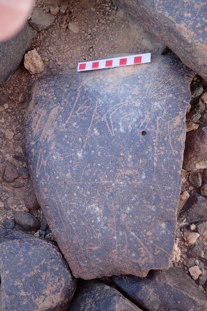 Image of siglum BES20 1519