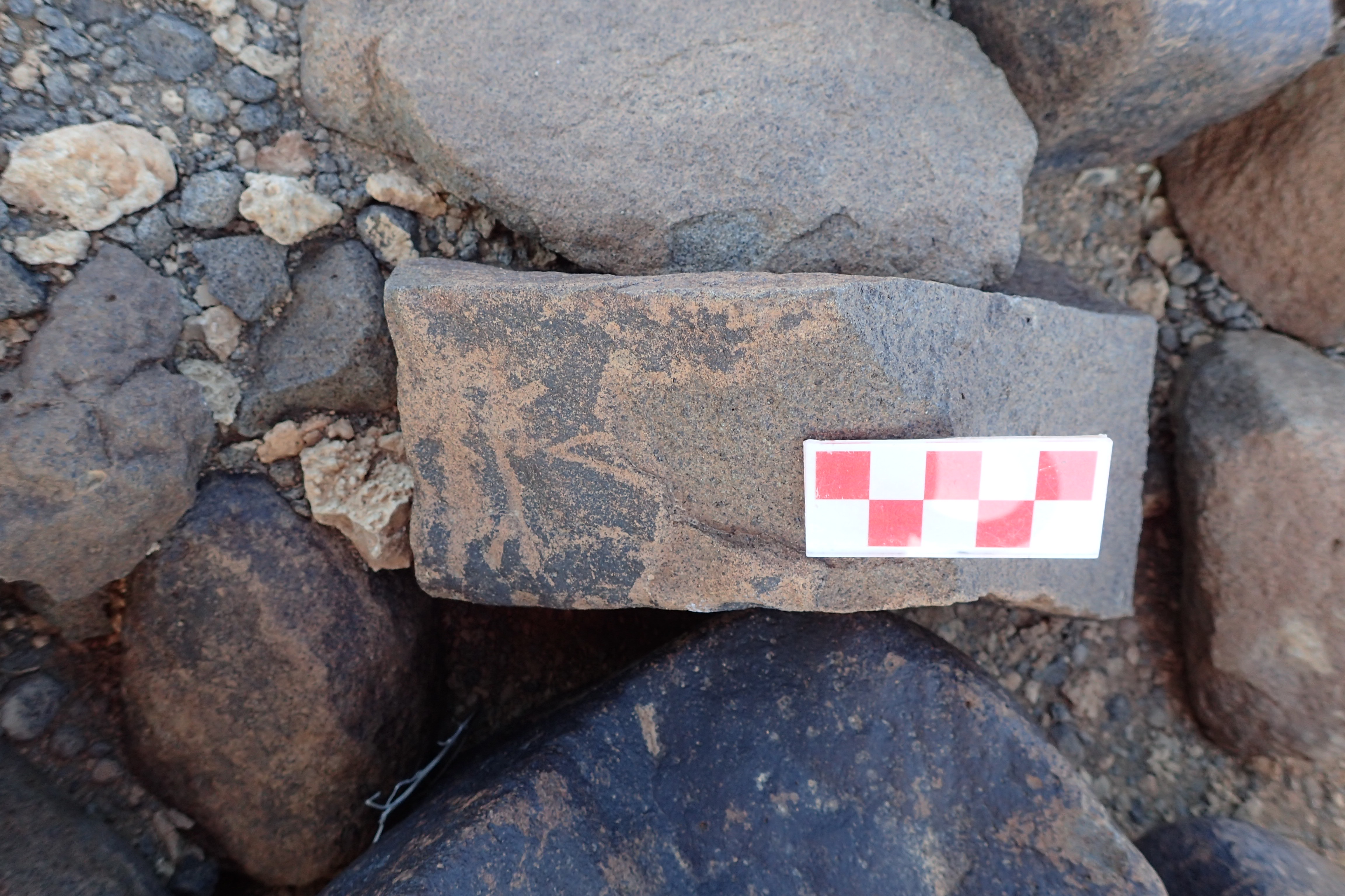 Image of siglum BES20 1520