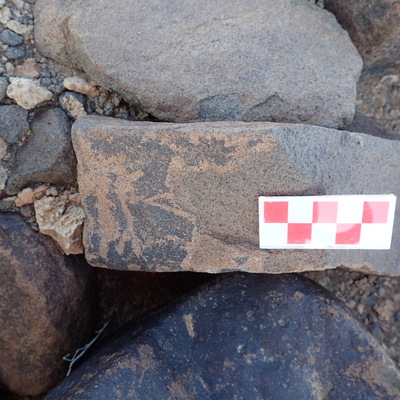 Image of siglum BES20 1520