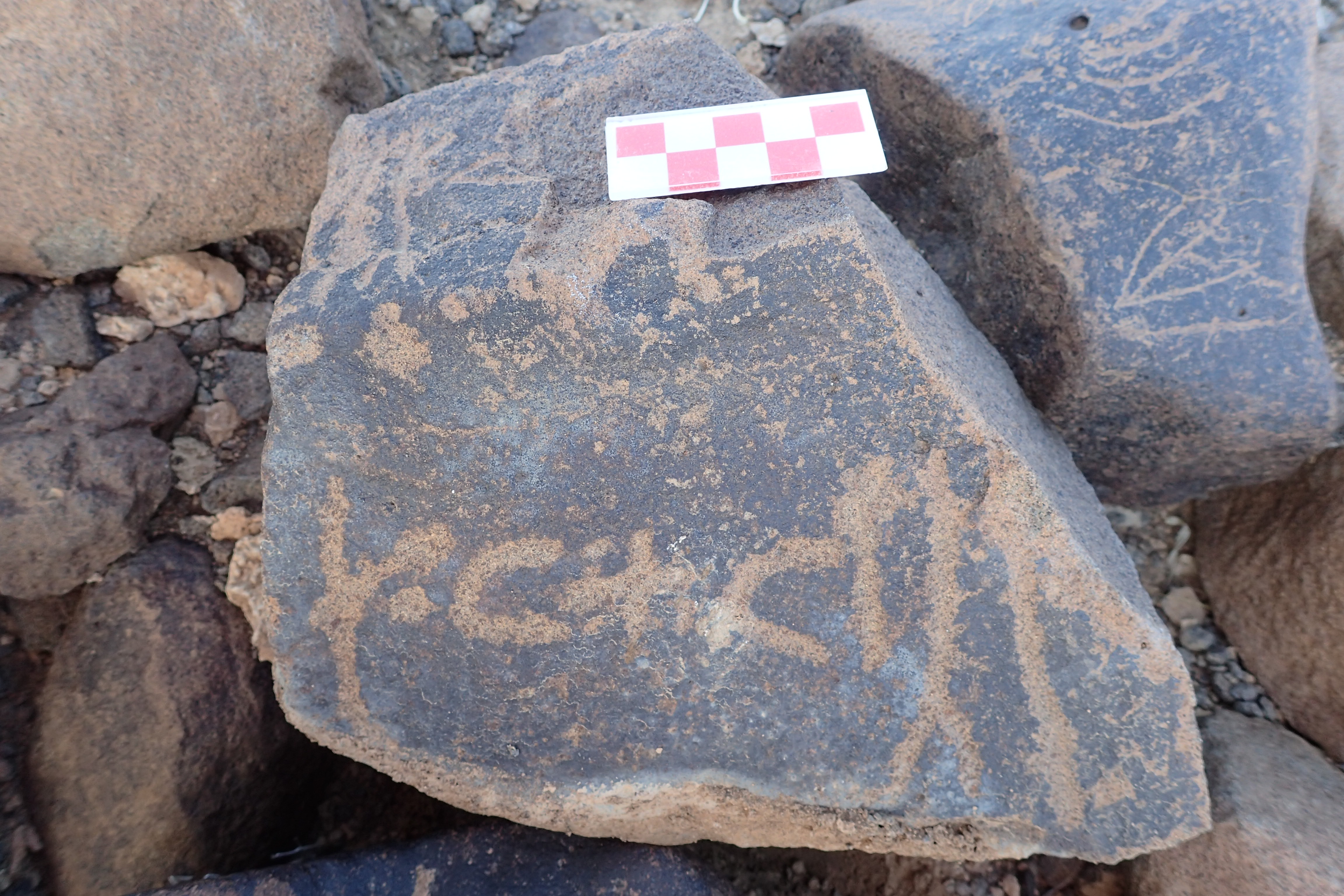 Image of siglum BES20 1521