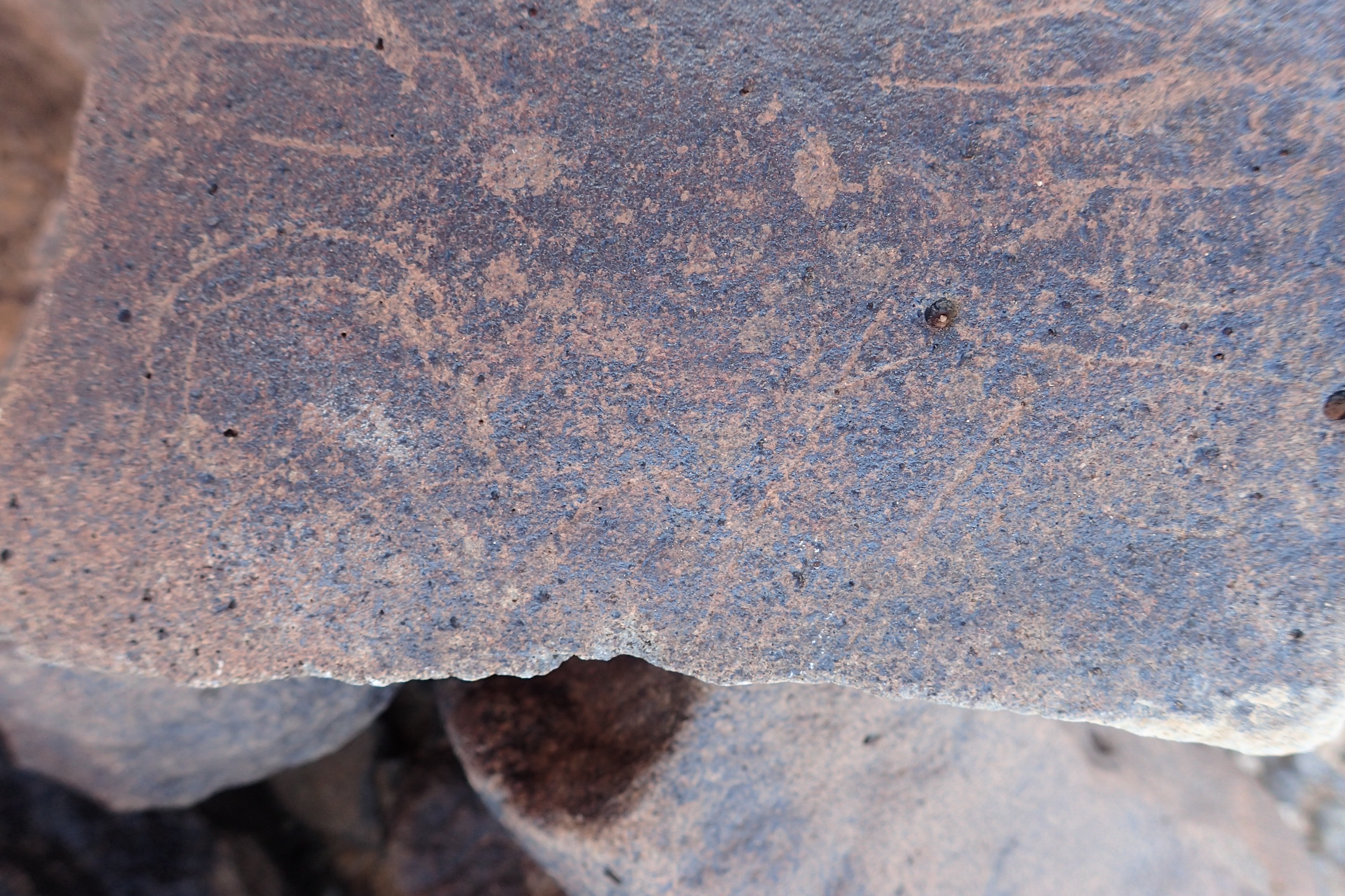 Image of siglum BES20 1523