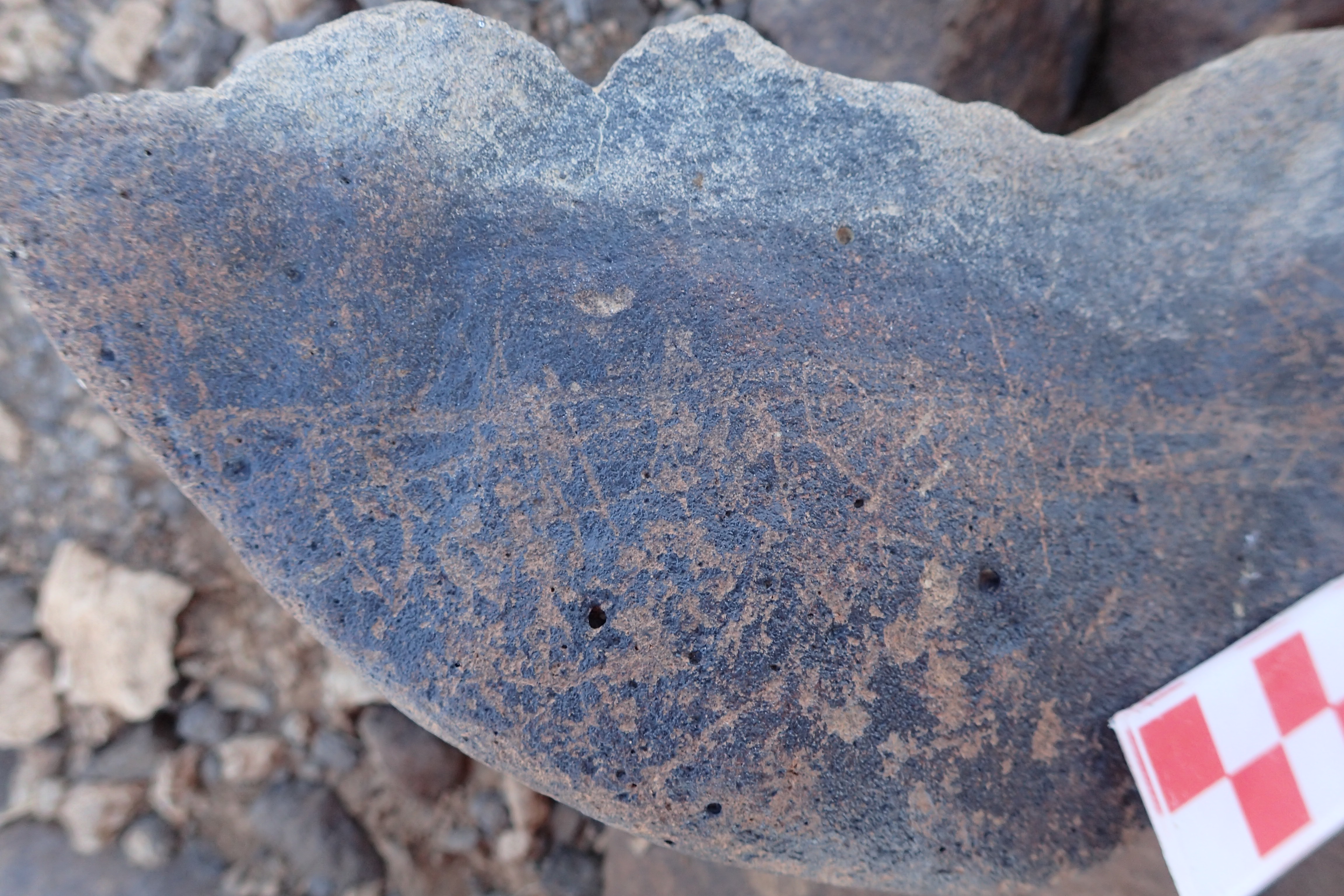 Image of siglum BES20 1524