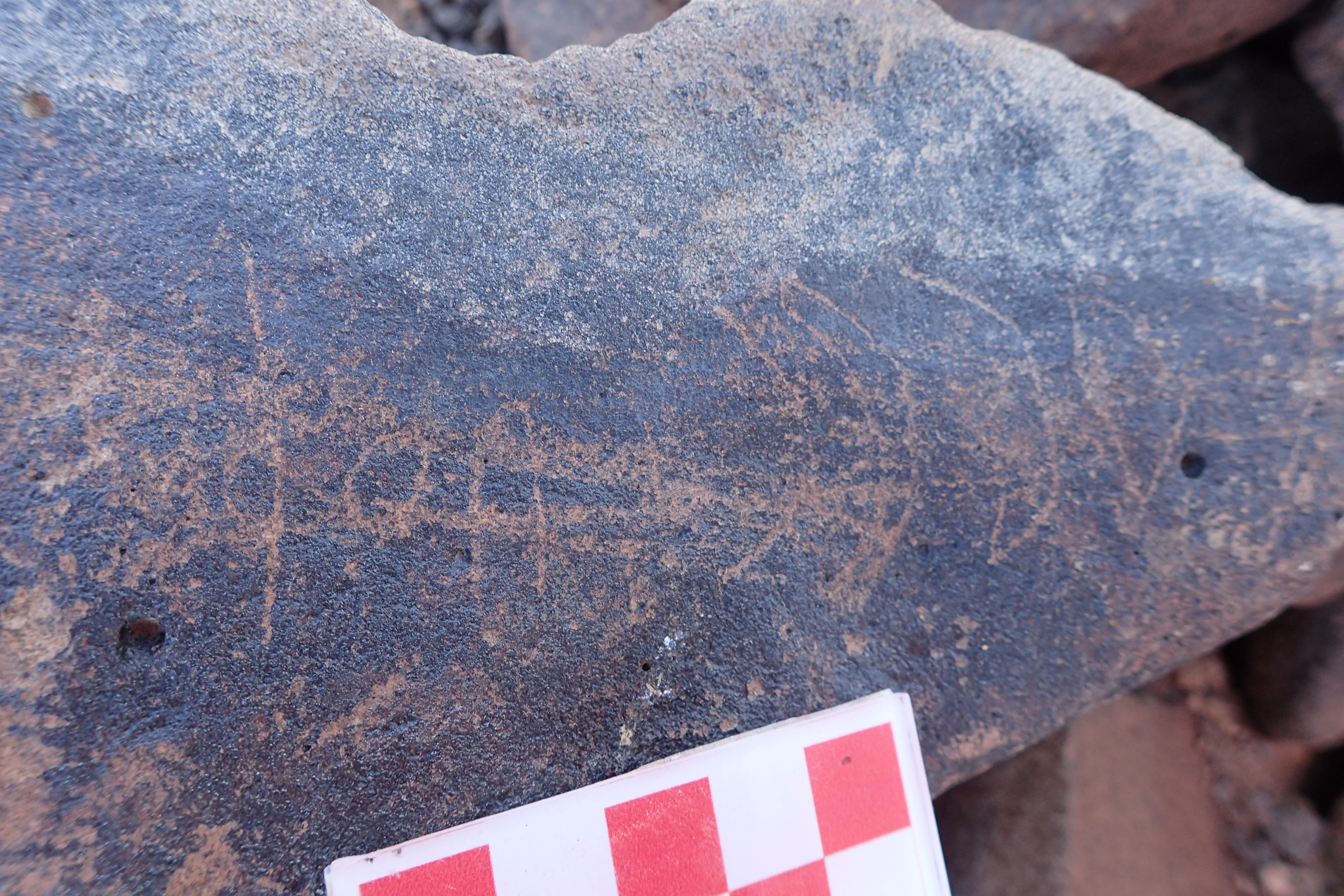 Image of siglum BES20 1524