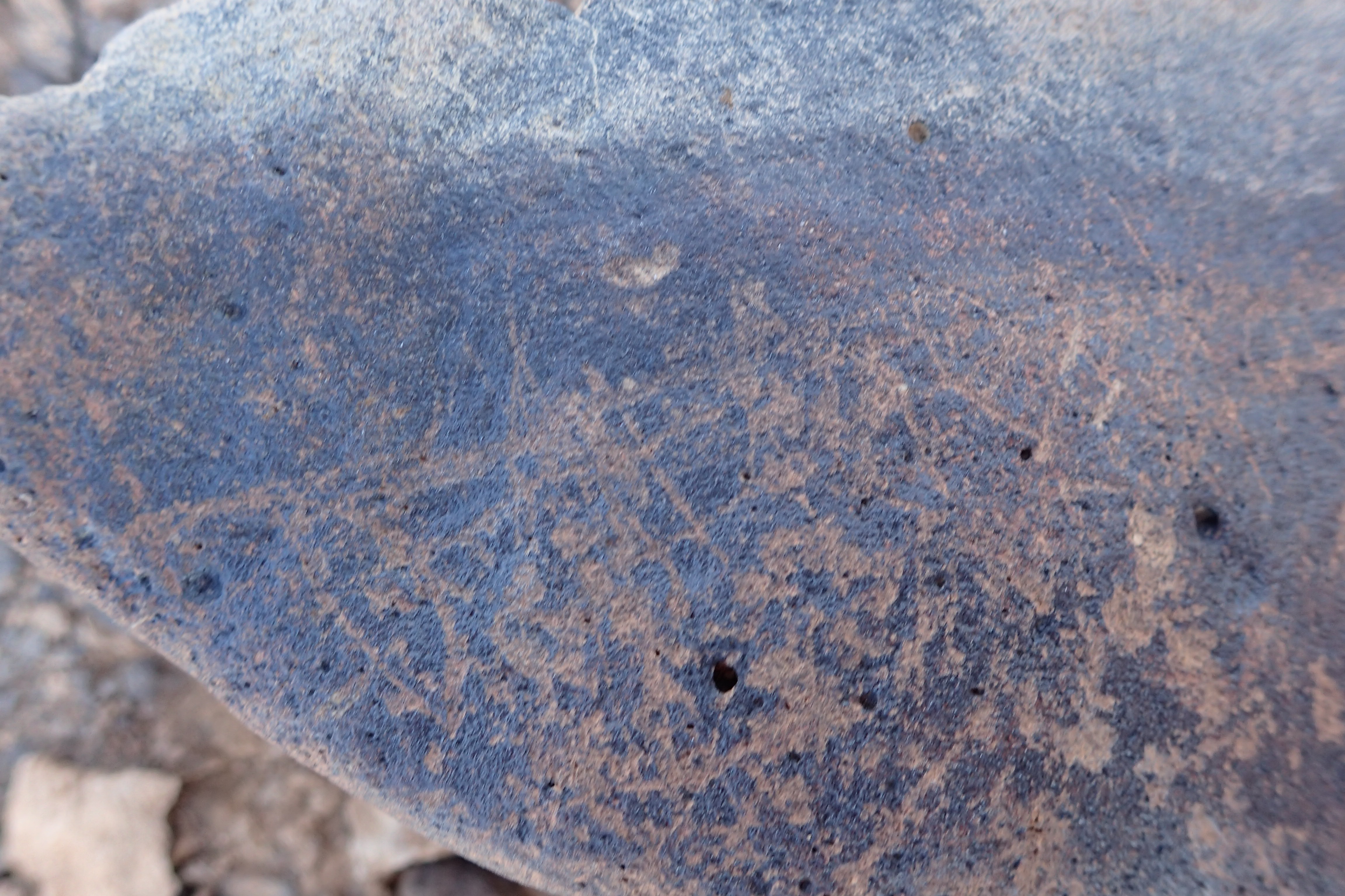 Image of siglum BES20 1524