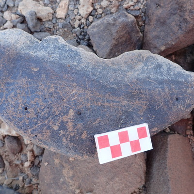 Image of siglum BES20 1524