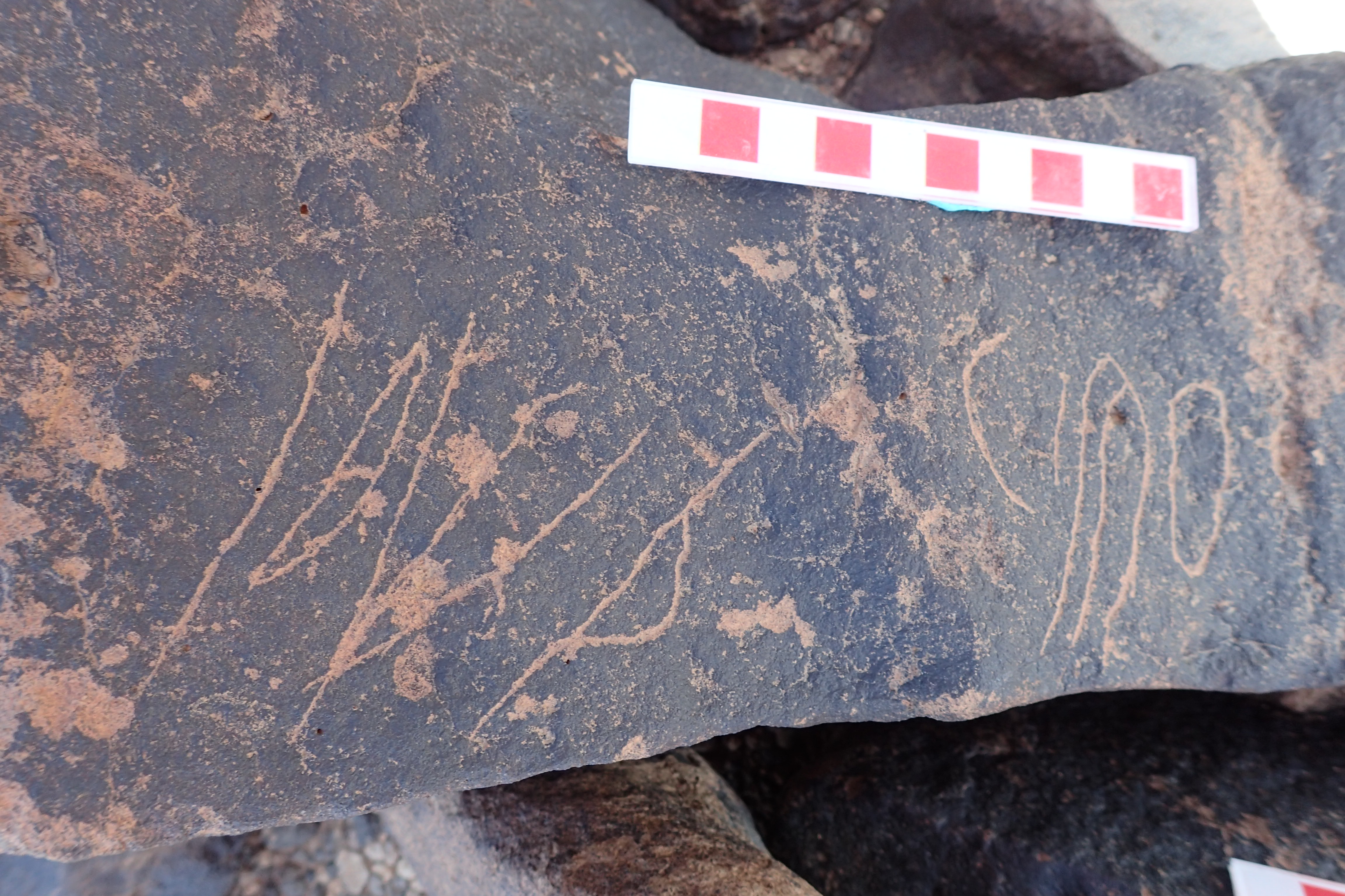 Image of siglum BES20 1526