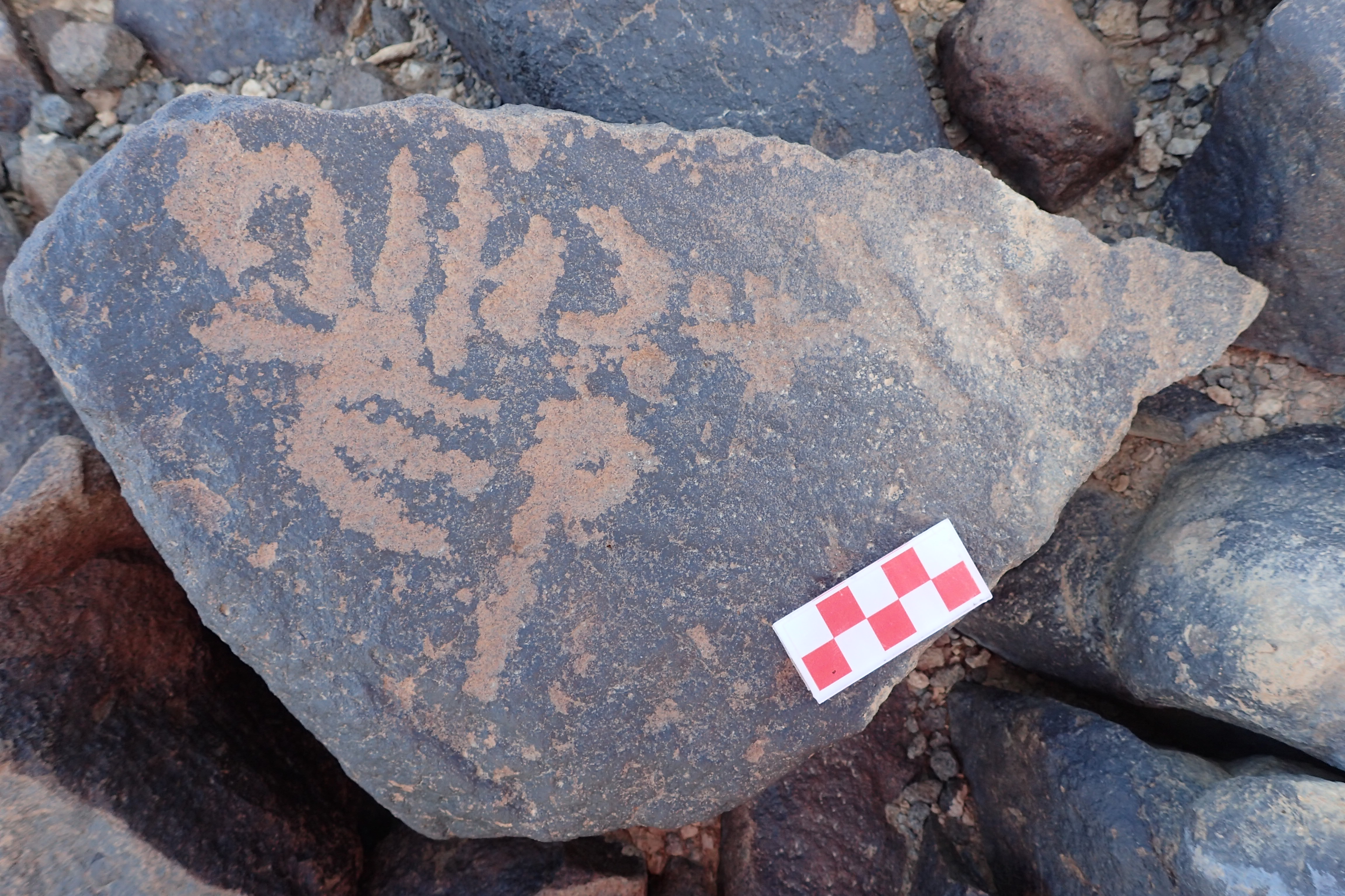 Image of siglum BES20 1527