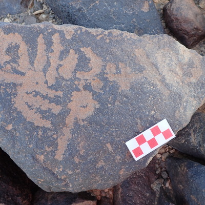 Image of siglum BES20 1527