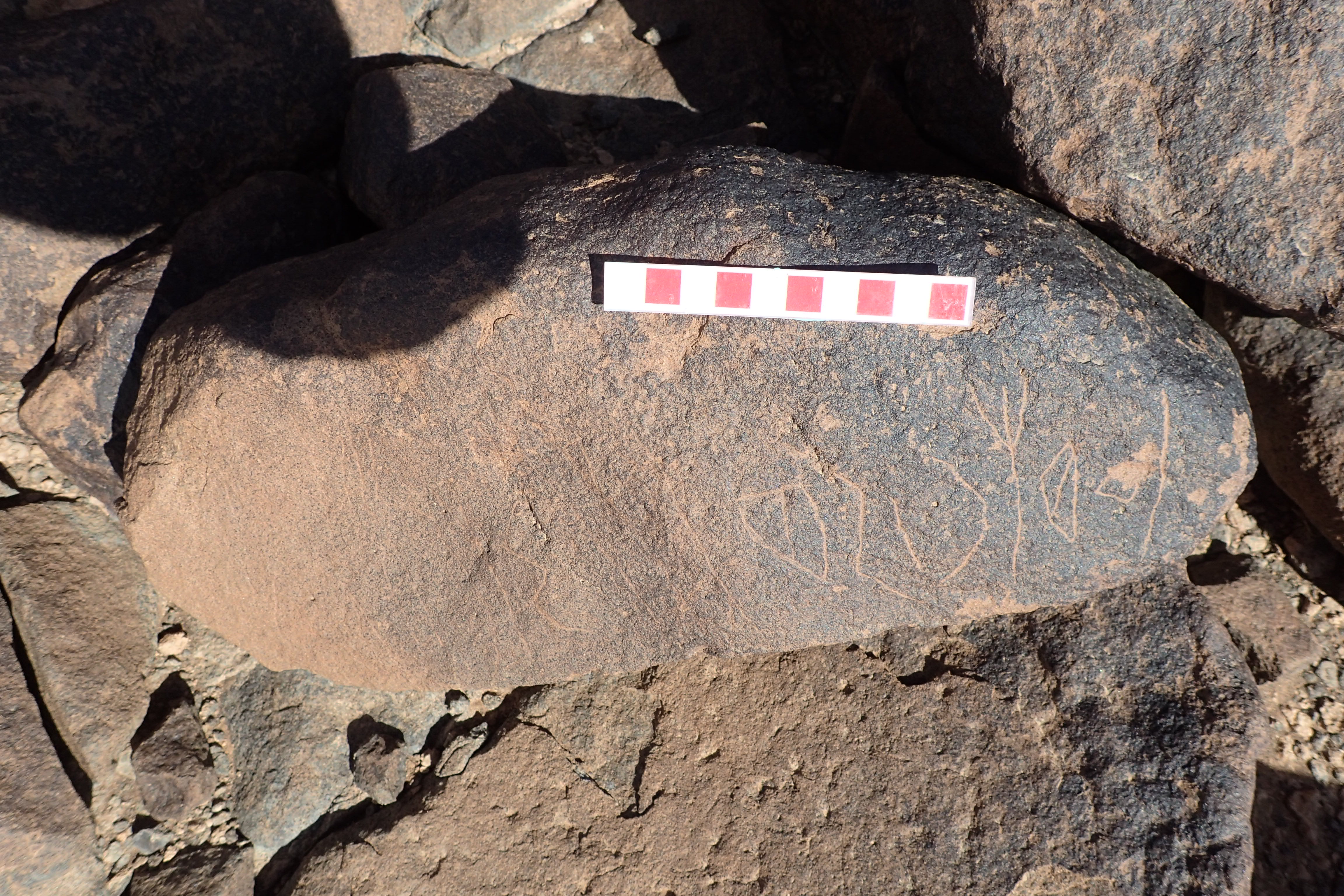 Image of siglum BES20 1528