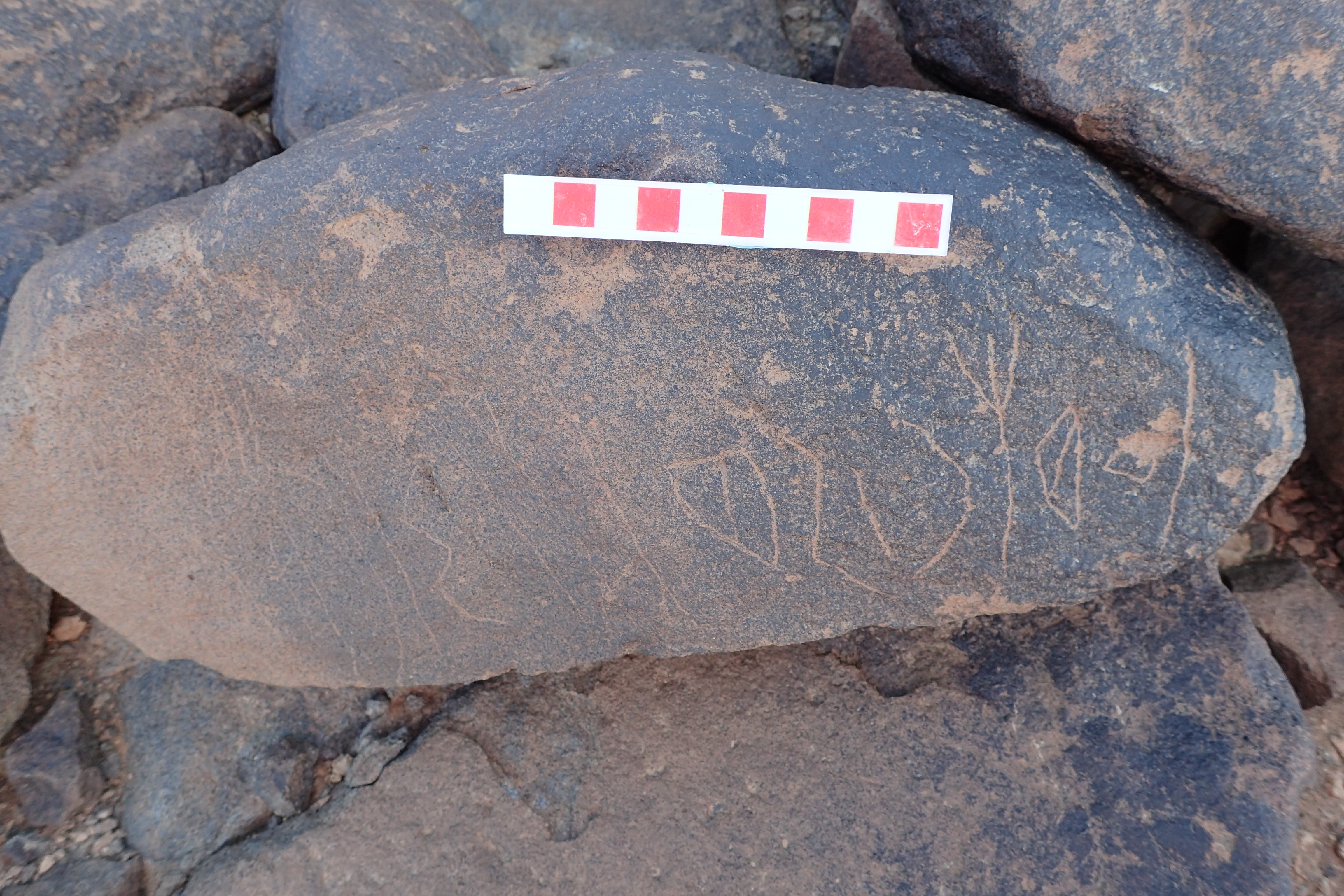 Image of siglum BES20 1528