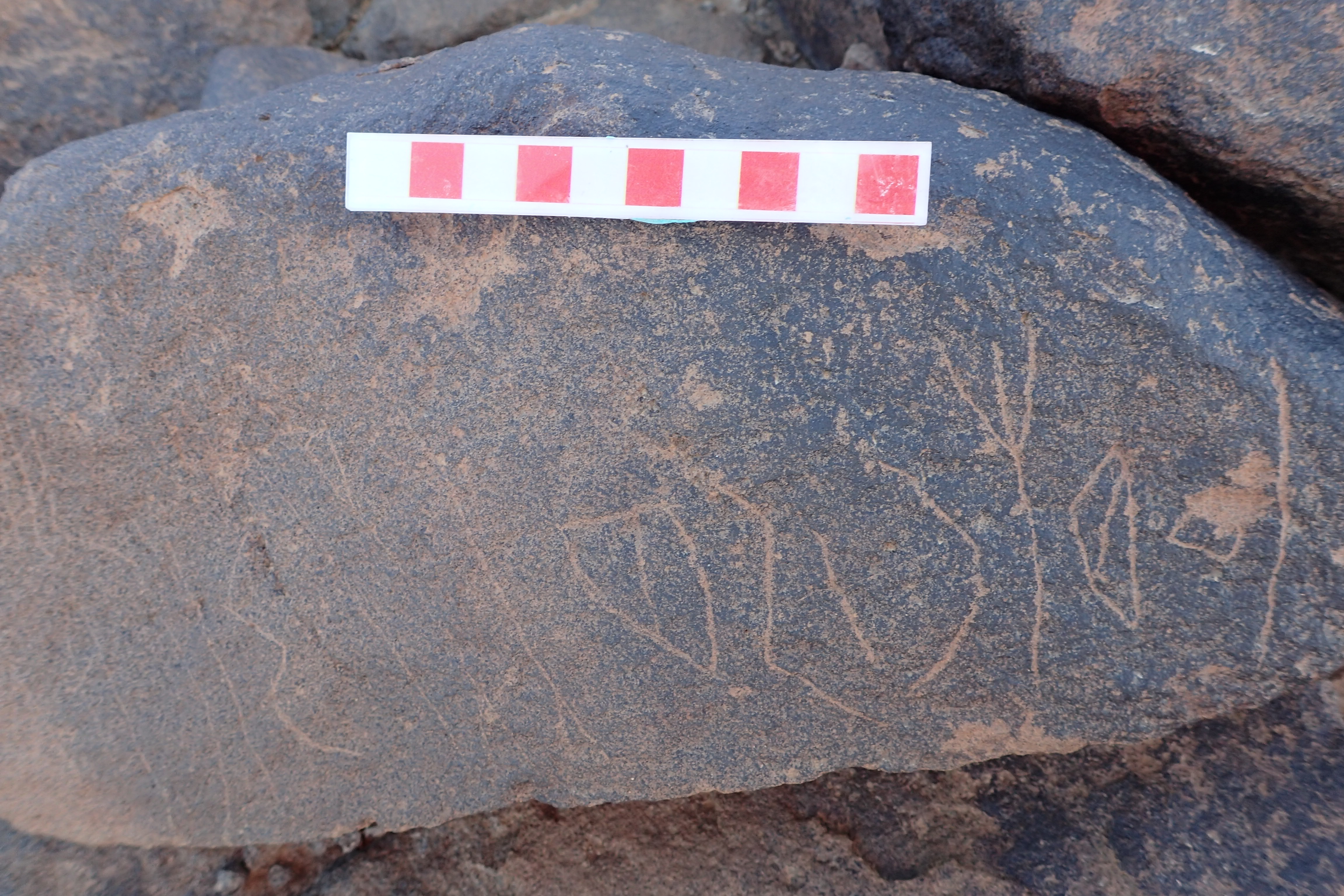 Image of siglum BES20 1528