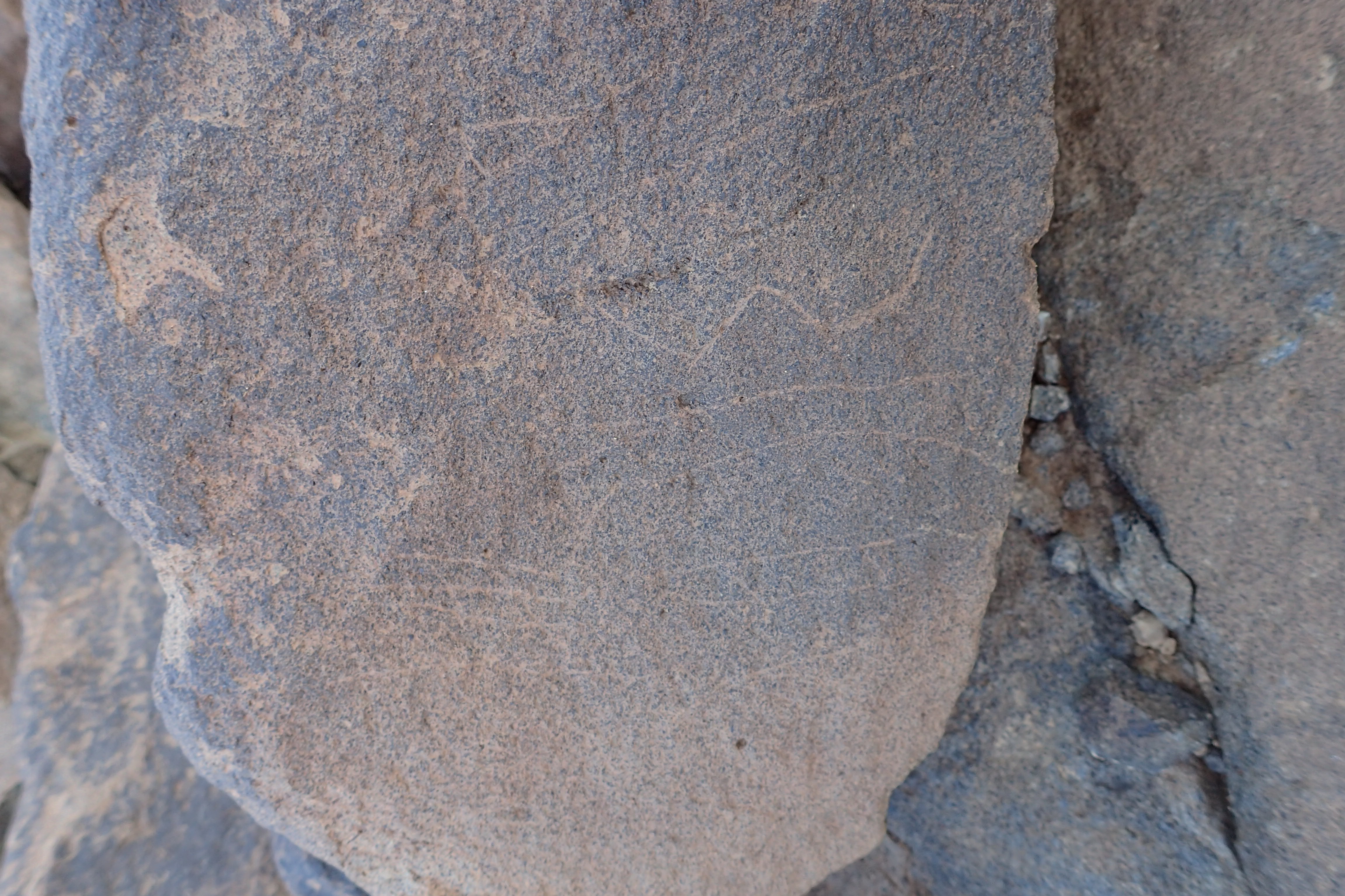 Image of siglum BES20 1528