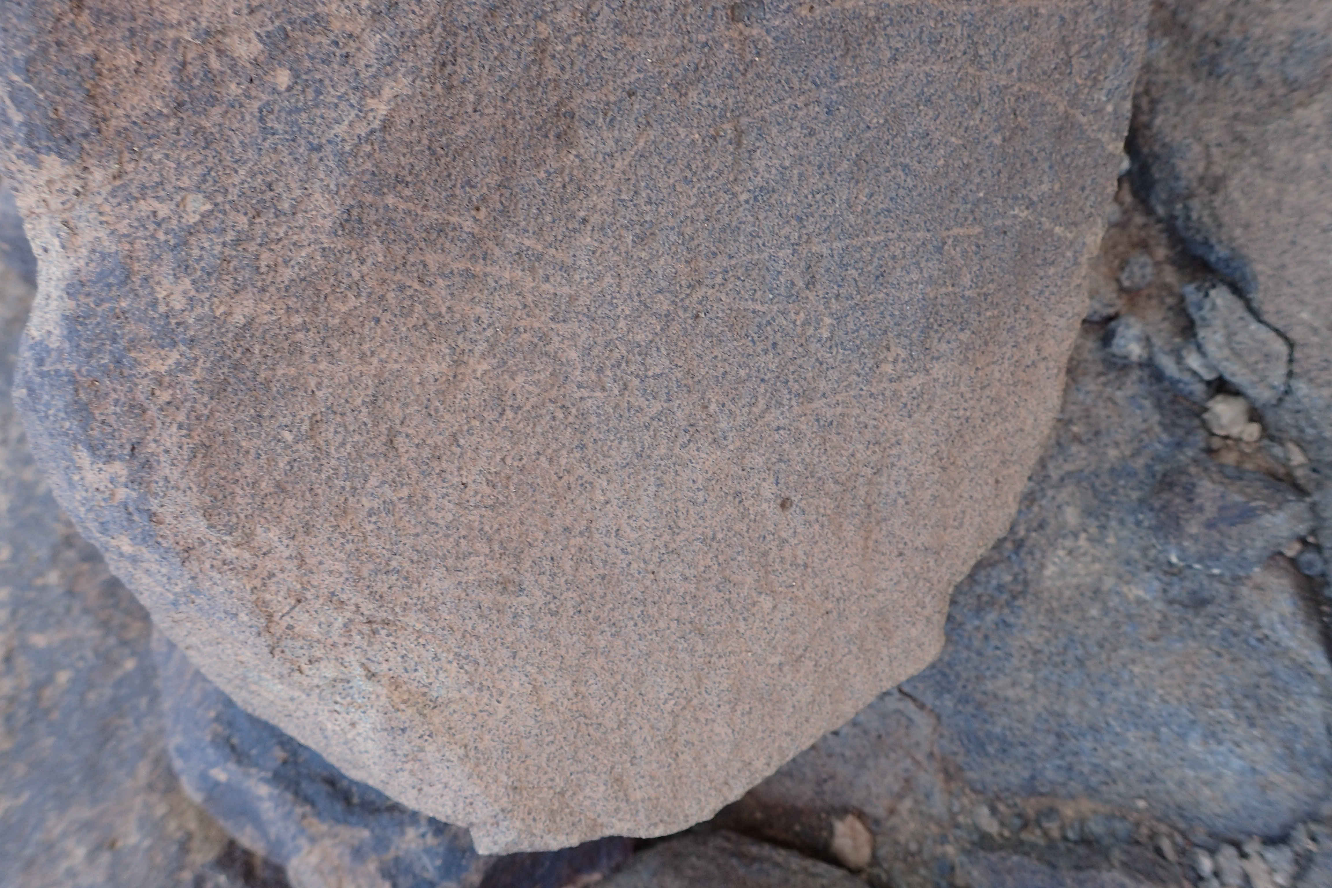 Image of siglum BES20 1528