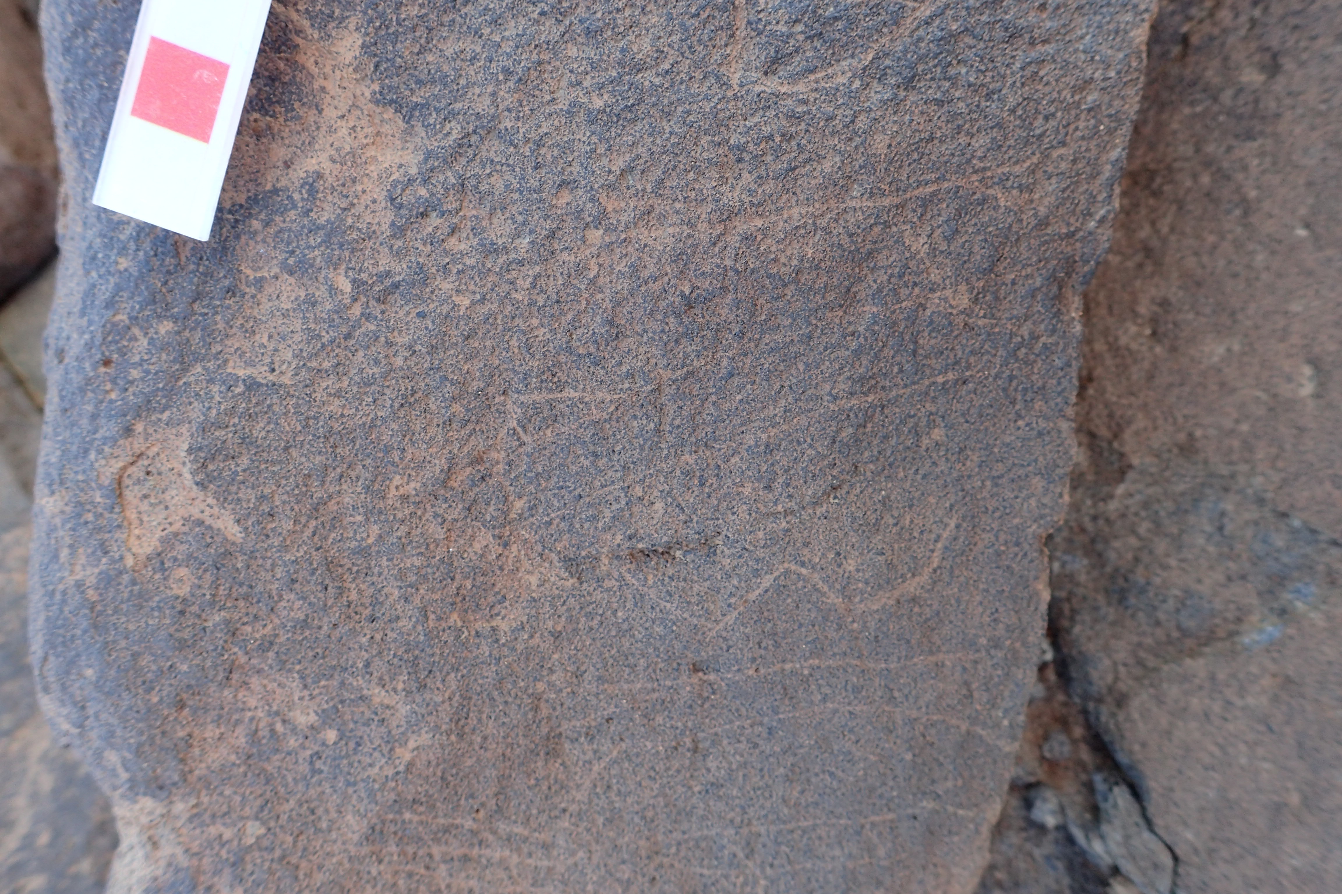 Image of siglum BES20 1528